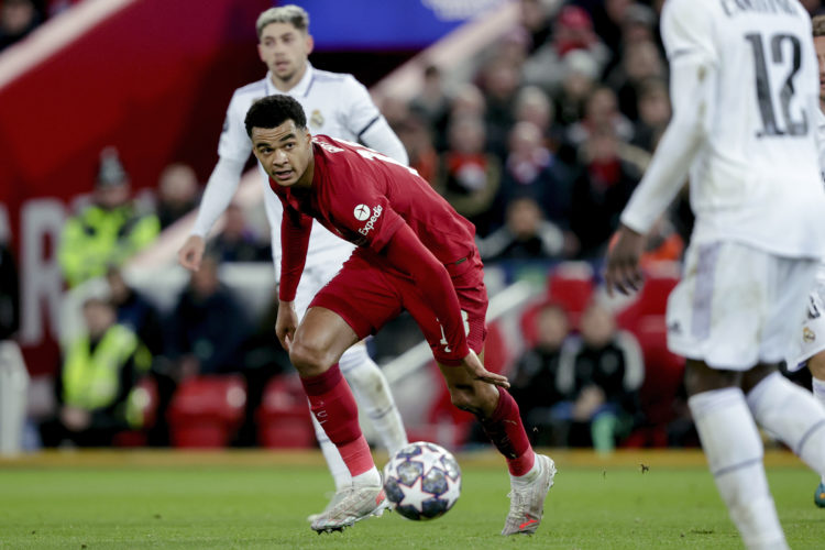 Tim Sherwood suggests Liverpool star Cody Gakpo was out of his depth against Real Madrid