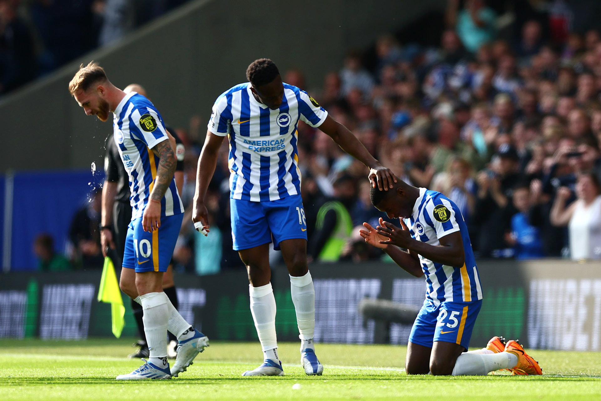 Brighton & Hove Albion v Manchester United - Premier League