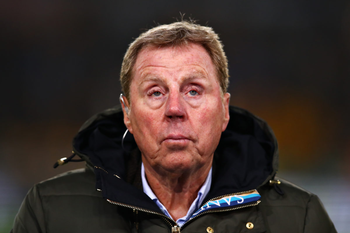 Harry Redknapp thinks Tottenham have signed a player with 'special' ability