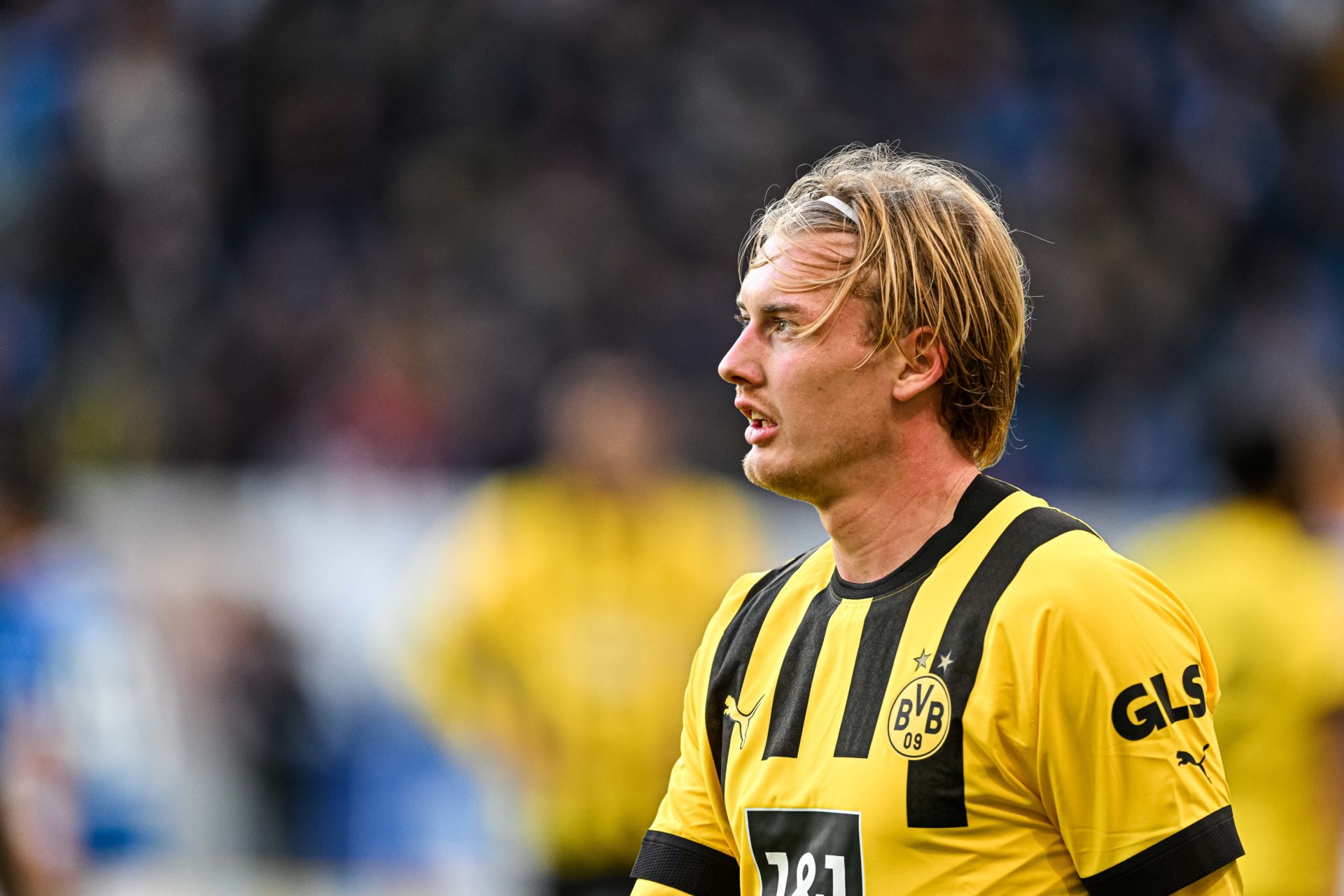 TSG Hoffenheim v Borussia Dortmund - Bundesliga