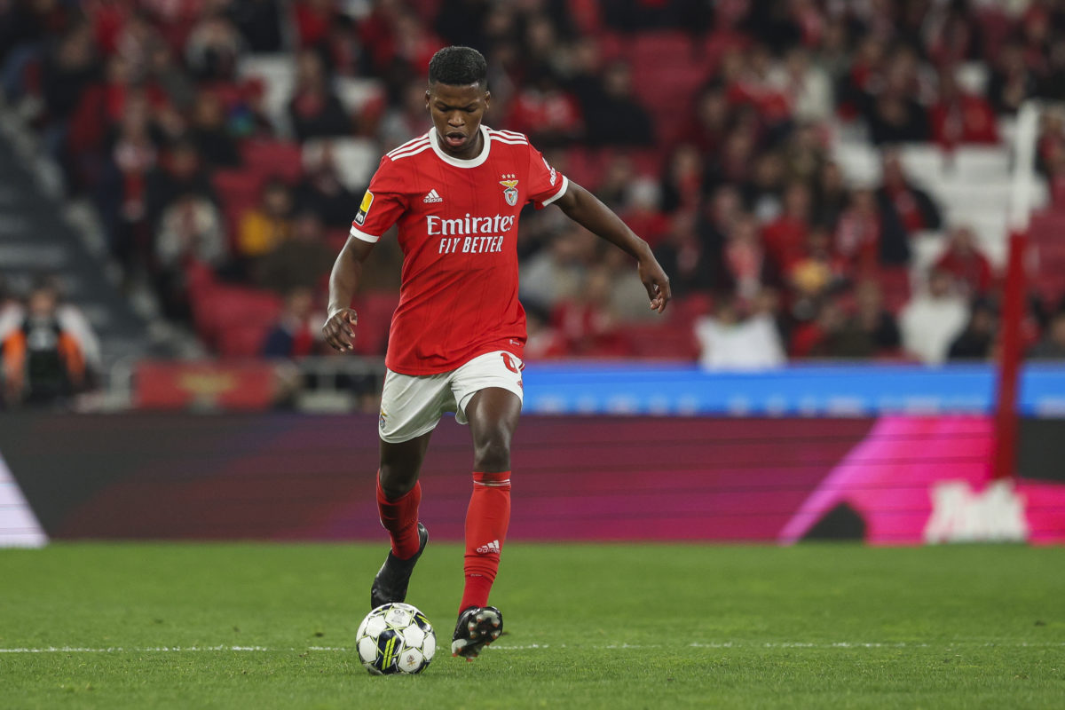 Tottenham scouts watched 'amazing' Benfica star Florentino Luis last week