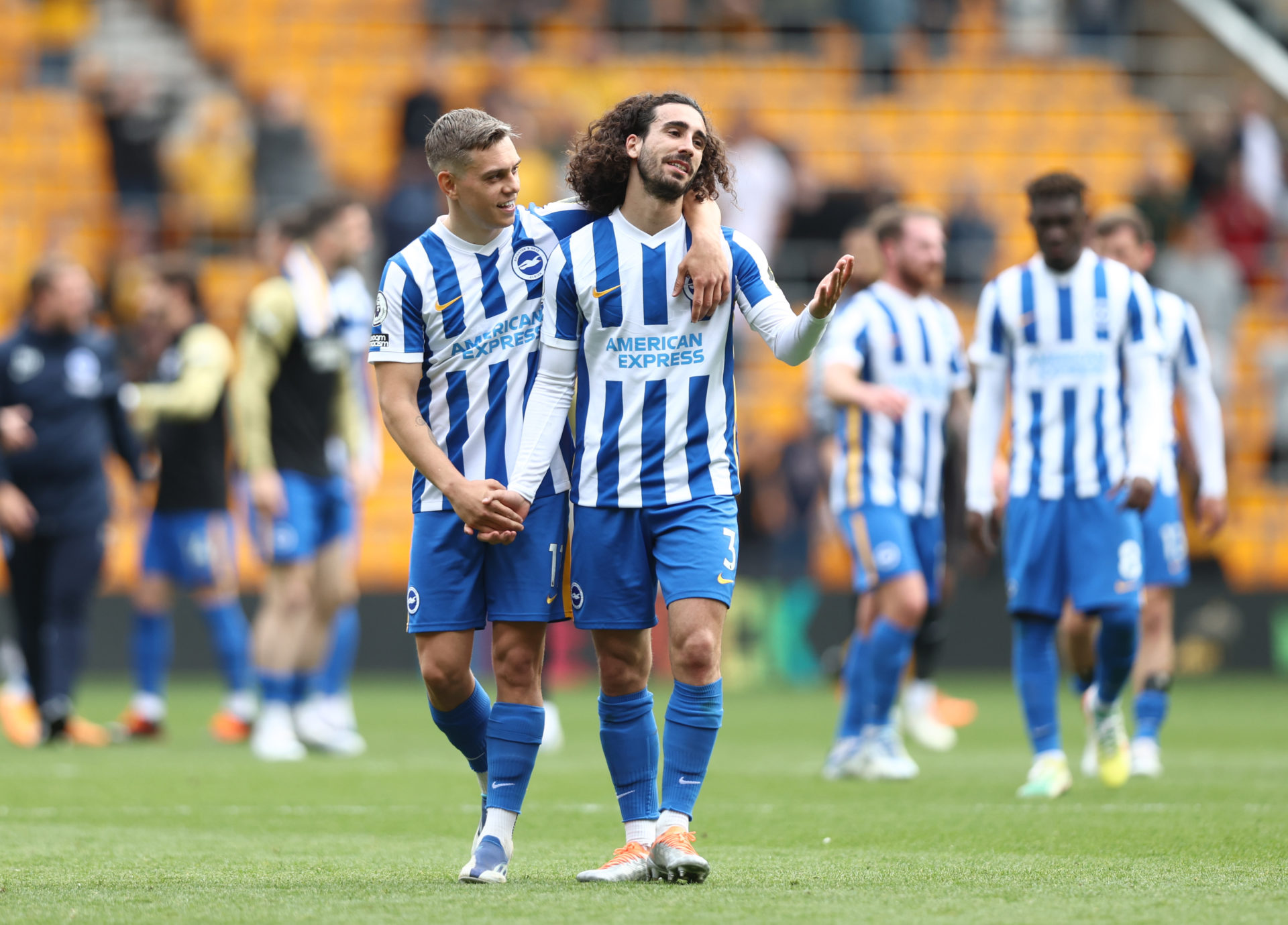 Wolverhampton Wanderers v Brighton & Hove Albion - Premier League