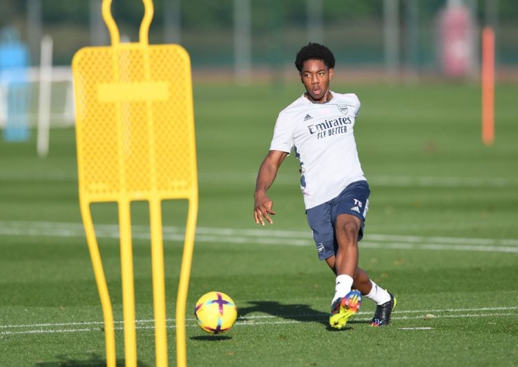 Photo by Stuart MacFarlane/Arsenal FC via Getty Images