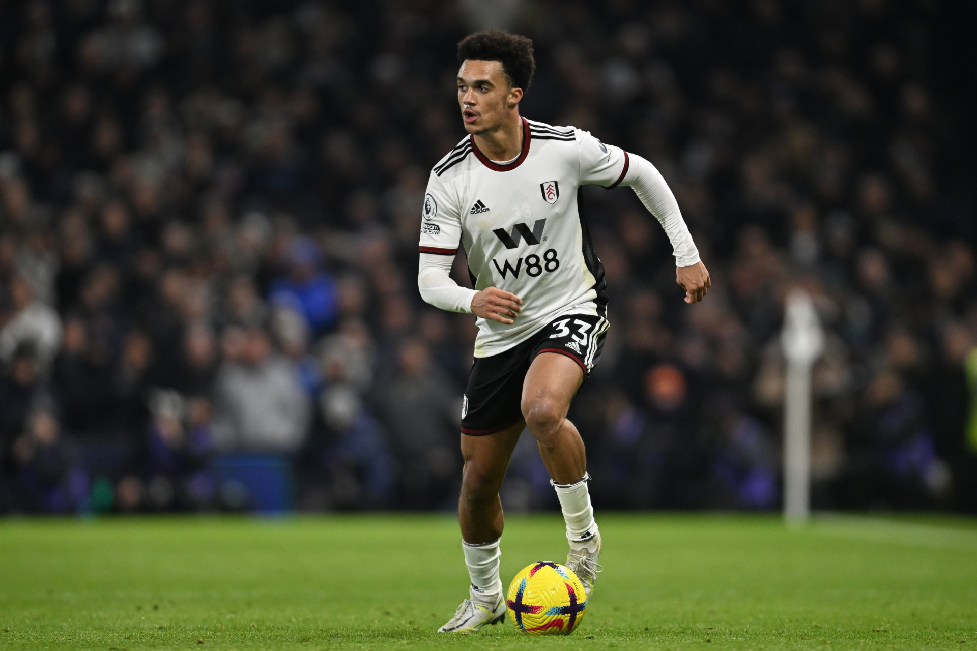 Fulham FC v Tottenham Hotspur - Premier League