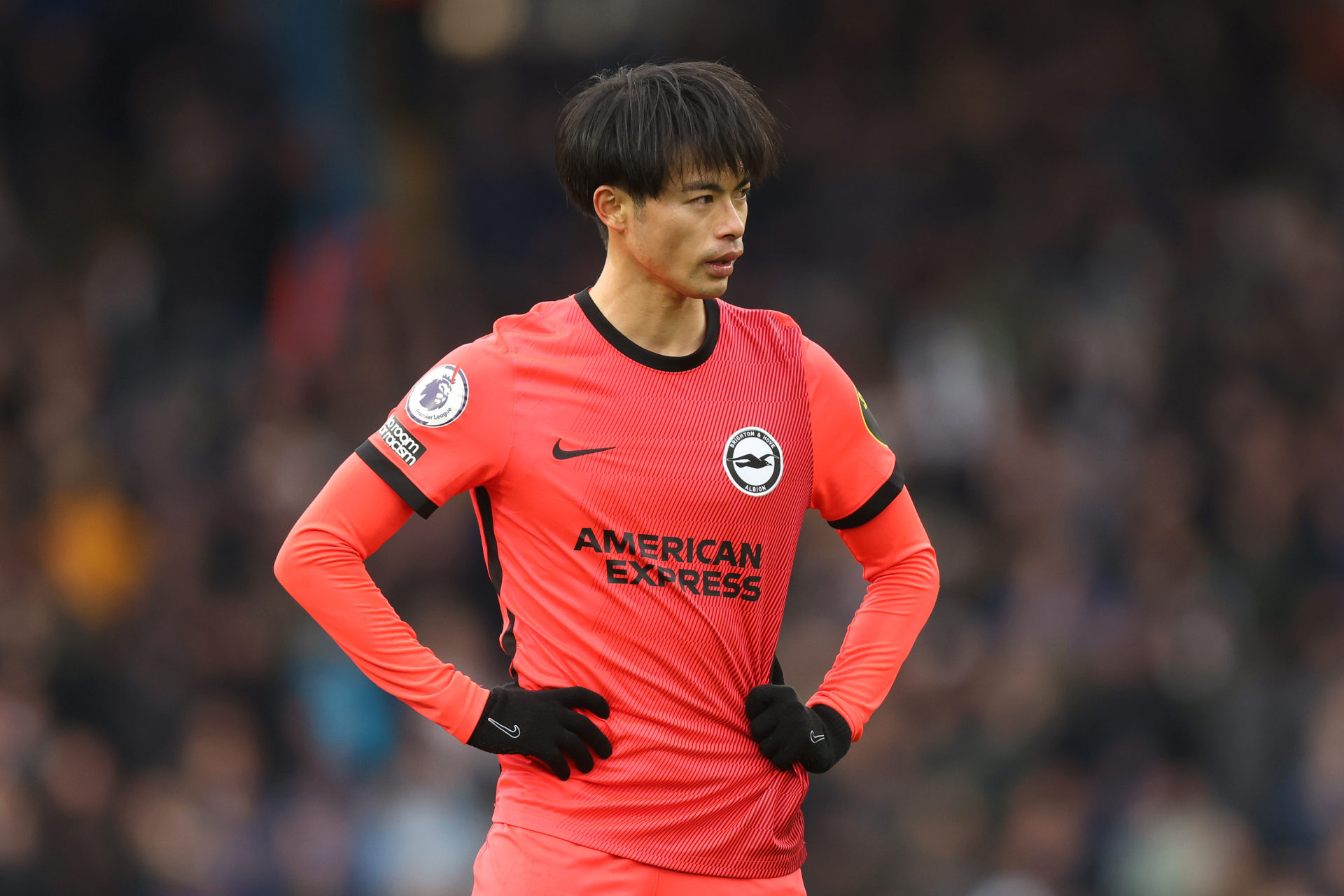 Leeds United v Brighton & Hove Albion - Premier League