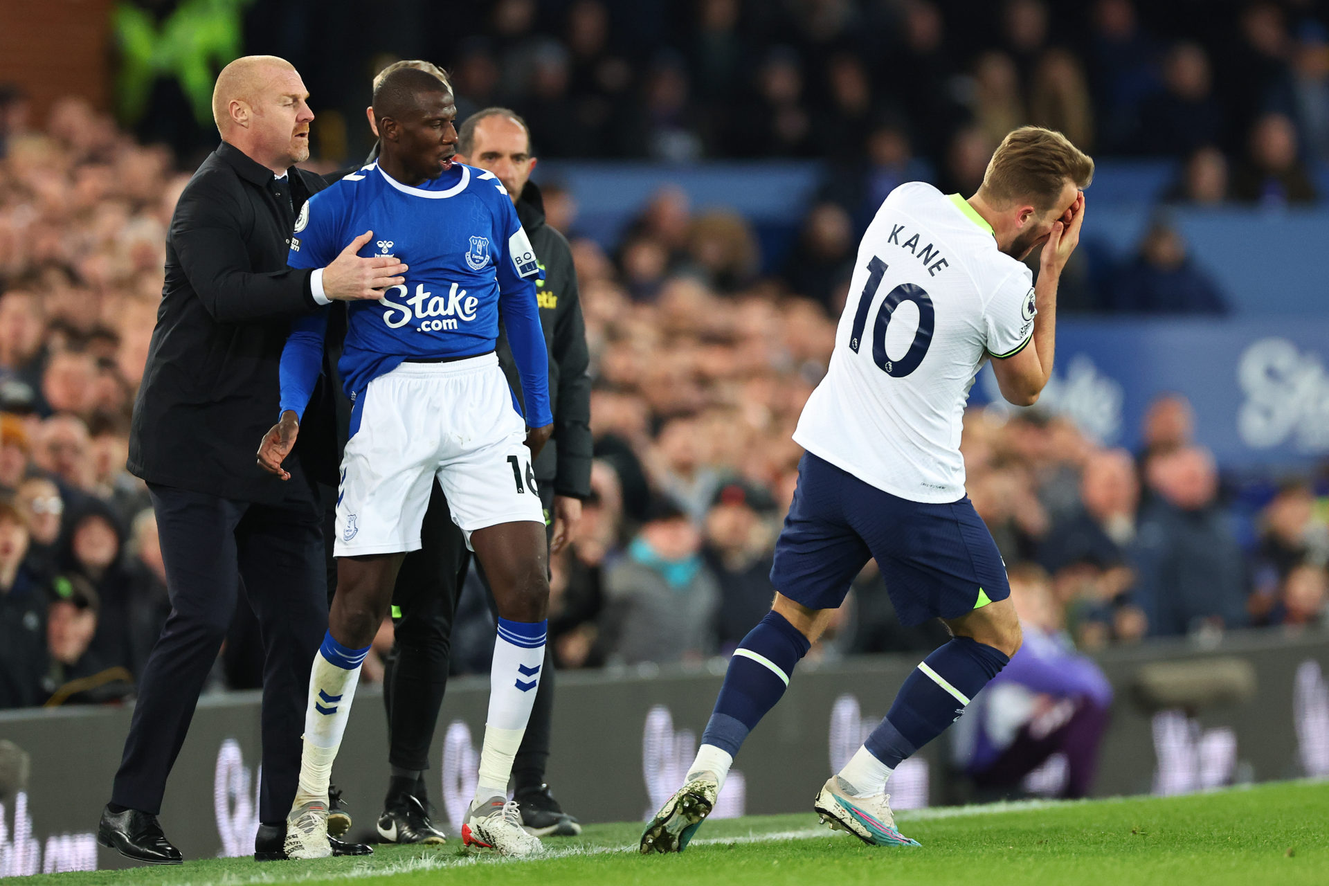 Everton FC v Tottenham Hotspur - Premier League