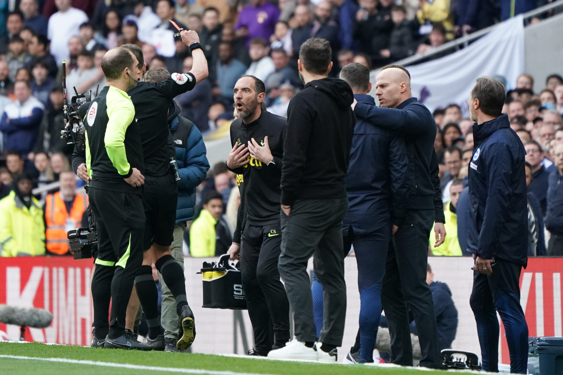 Tottenham Hotspur v Brighton & Hove Albion - Premier League