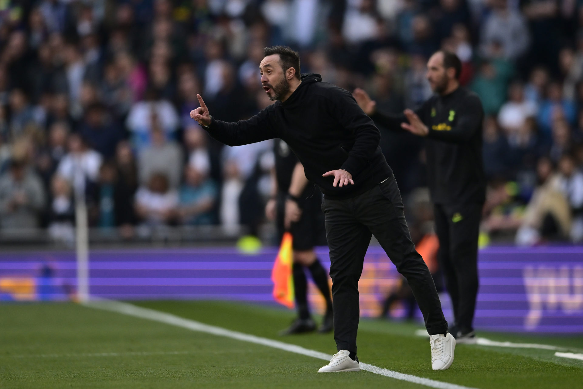 Tottenham Hotspur v Brighton & Hove Albion - Premier League