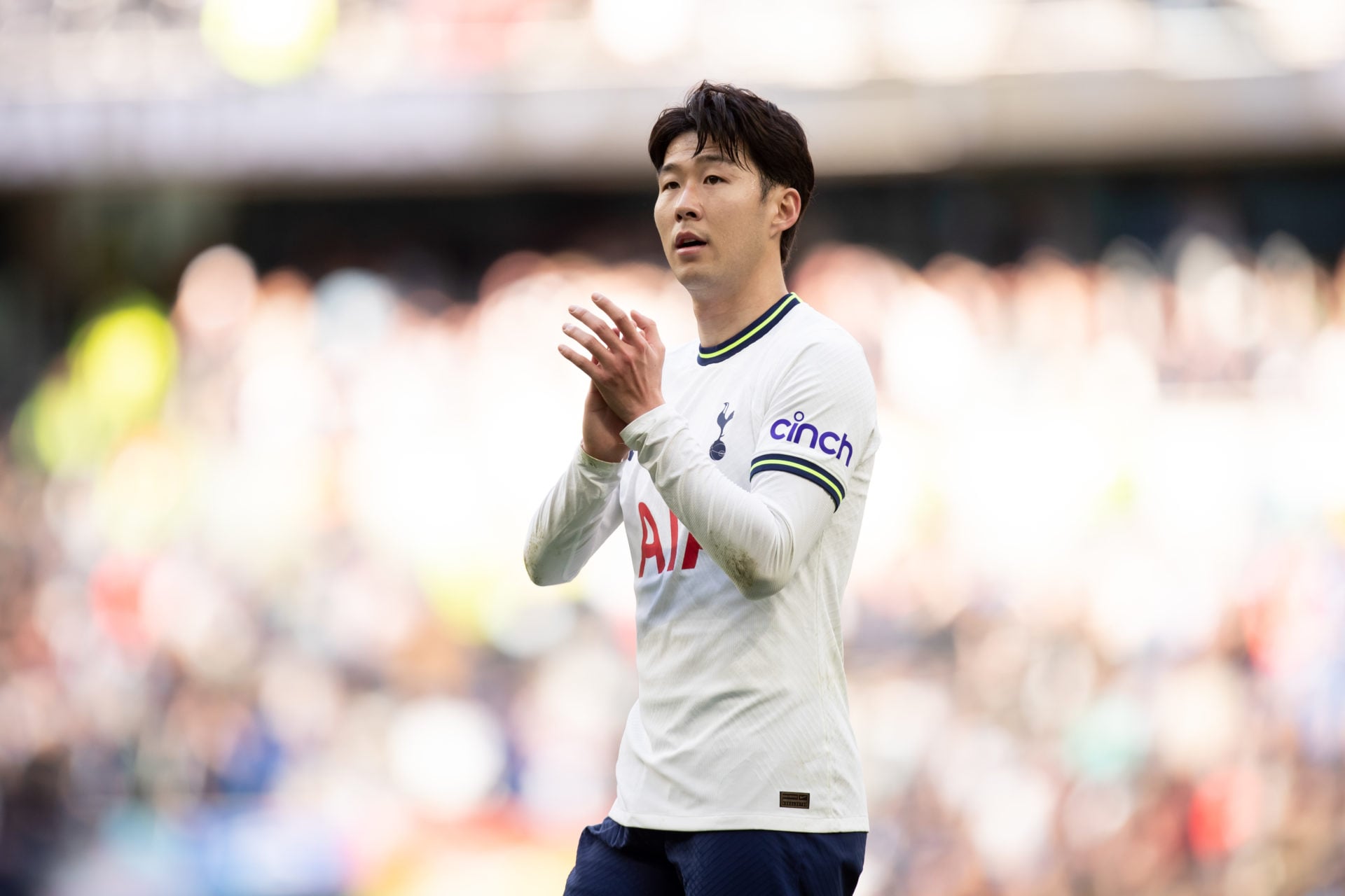 Tottenham Hotspur v Brighton & Hove Albion - Premier League