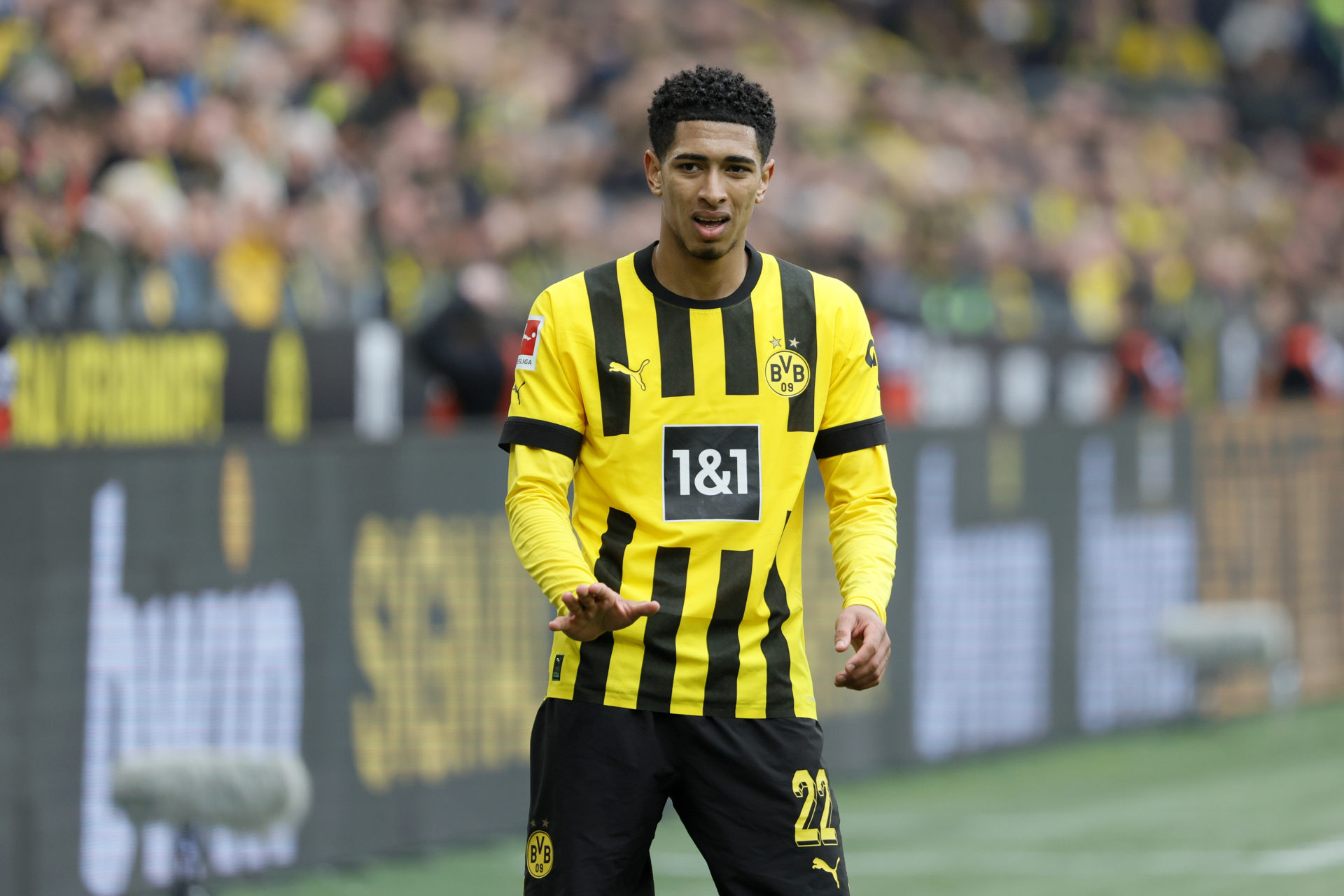 Borussia Dortmund v 1. FC Union Berlin - Bundesliga