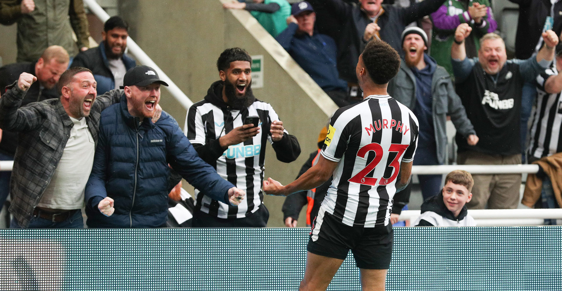 Newcastle United v Tottenham Hotspur - Premier League