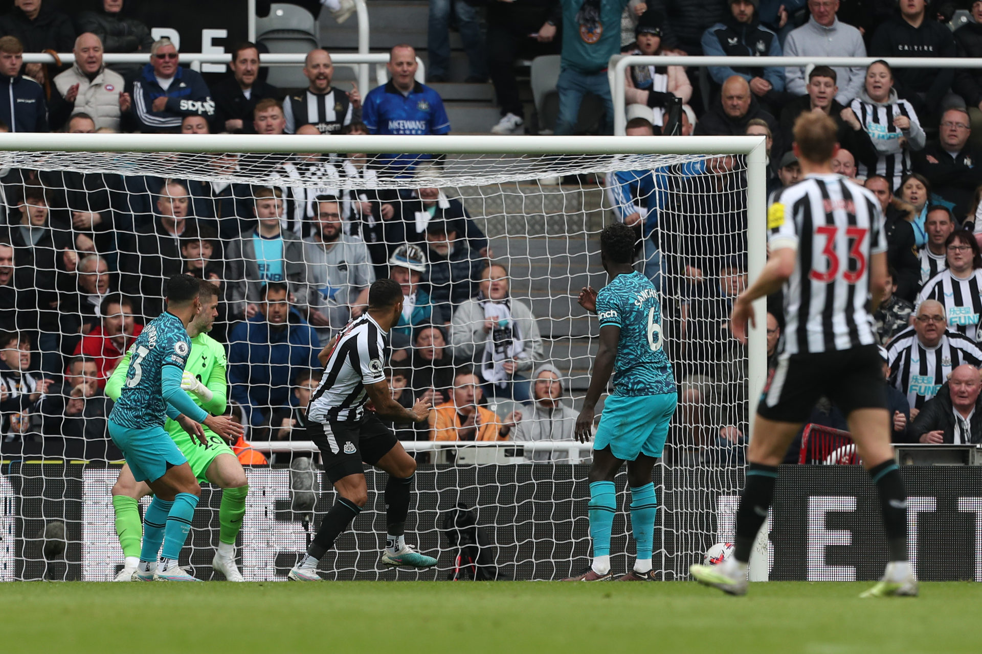 Newcastle United v Tottenham Hotspur - Premier League