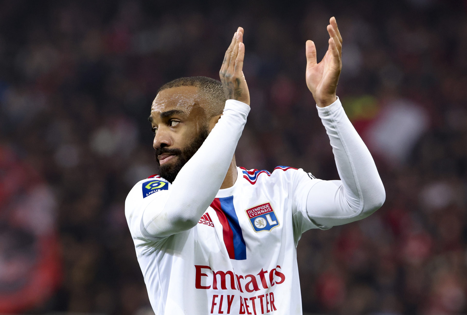 Arsene Wenger Alexandre Lacazette