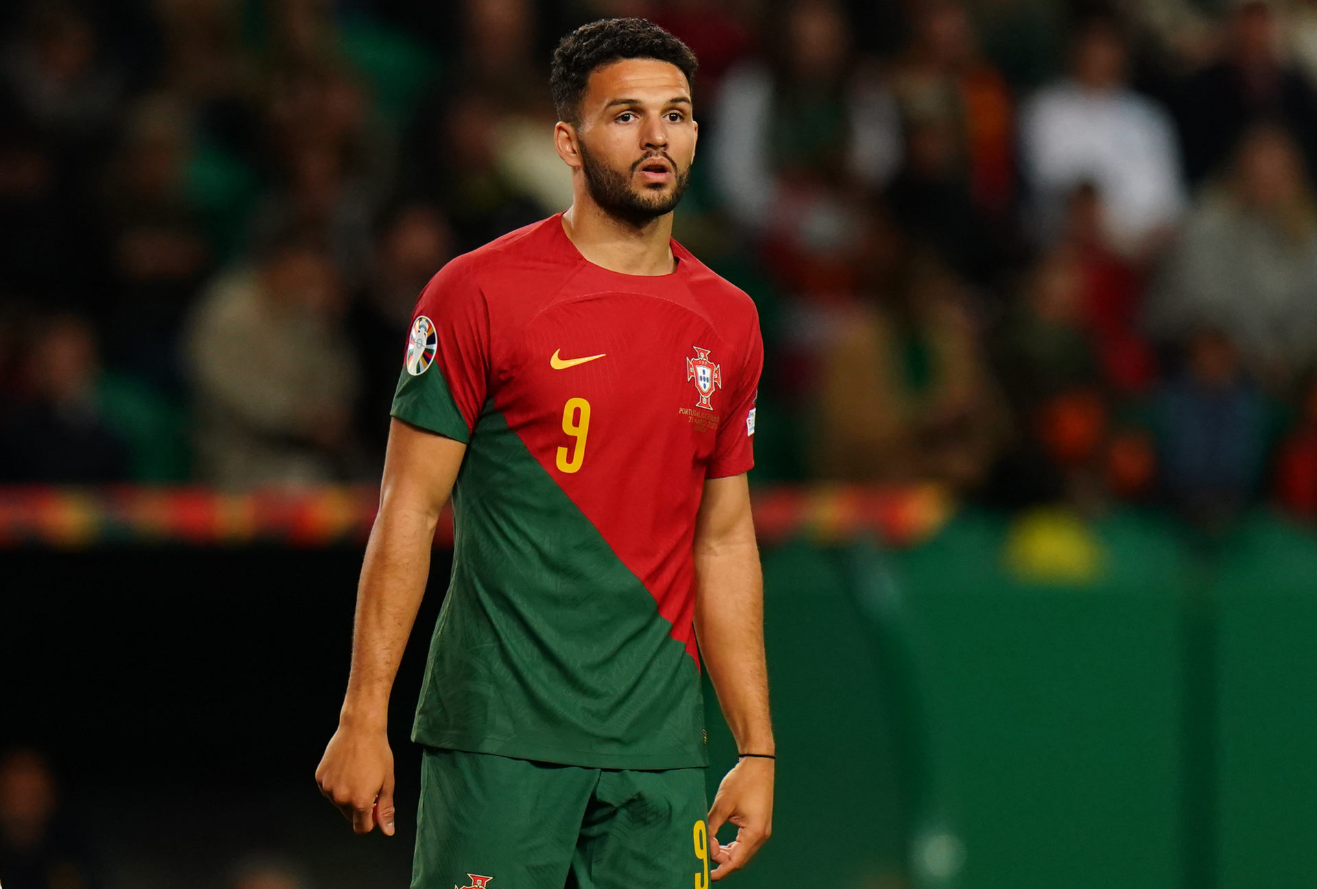 Portugal v Liechtenstein - Group J - UEFA EURO 2024 Qualifying Round