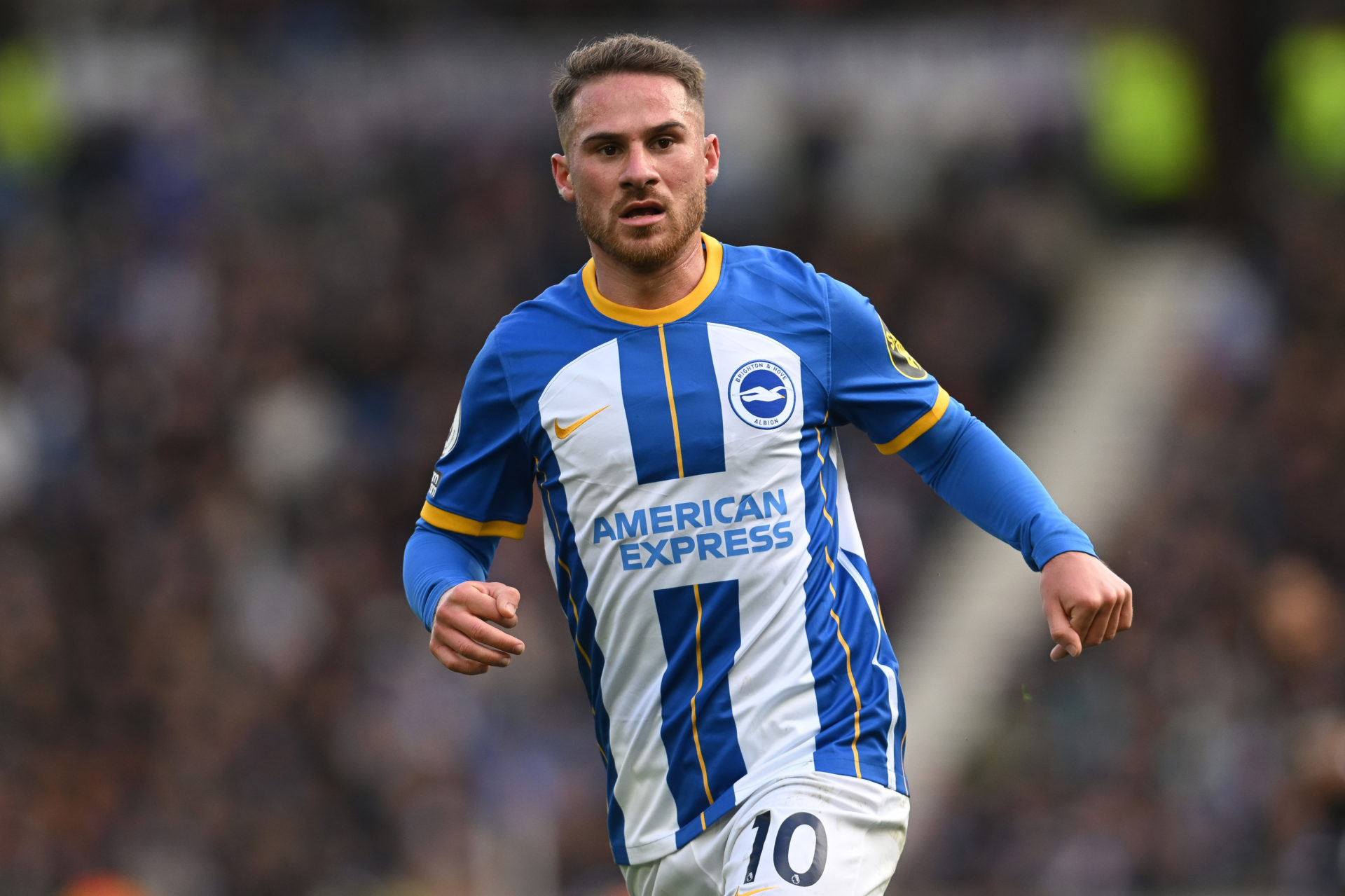 Brighton & Hove Albion v Brentford FC - Premier League