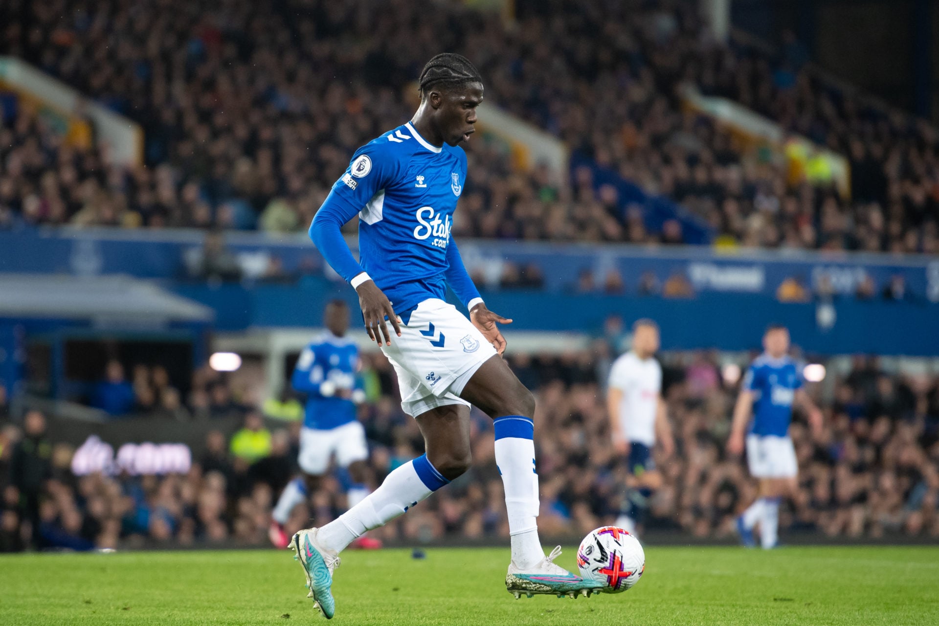 Everton FC v Tottenham Hotspur - Premier League