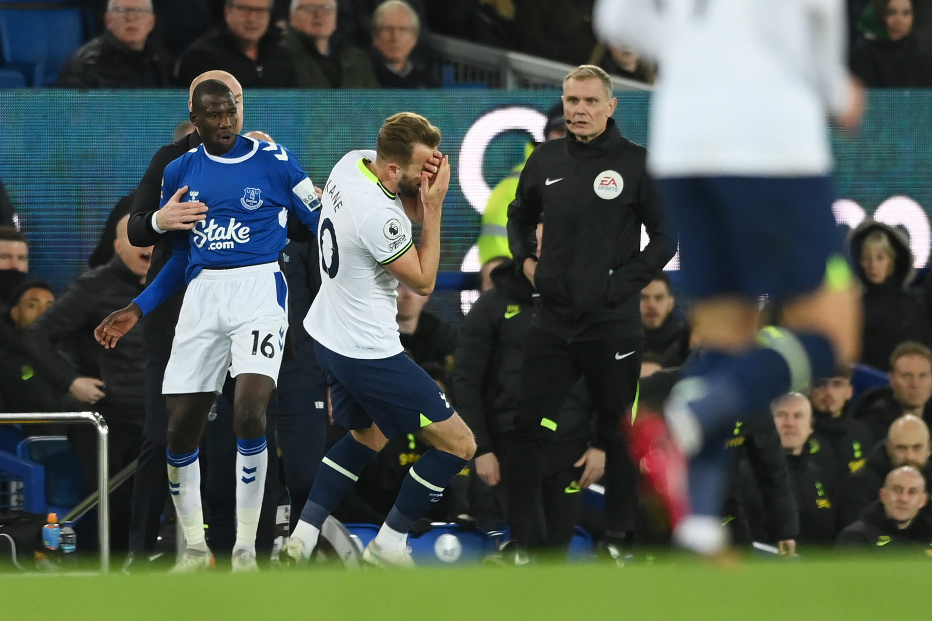 Everton FC v Tottenham Hotspur - Premier League