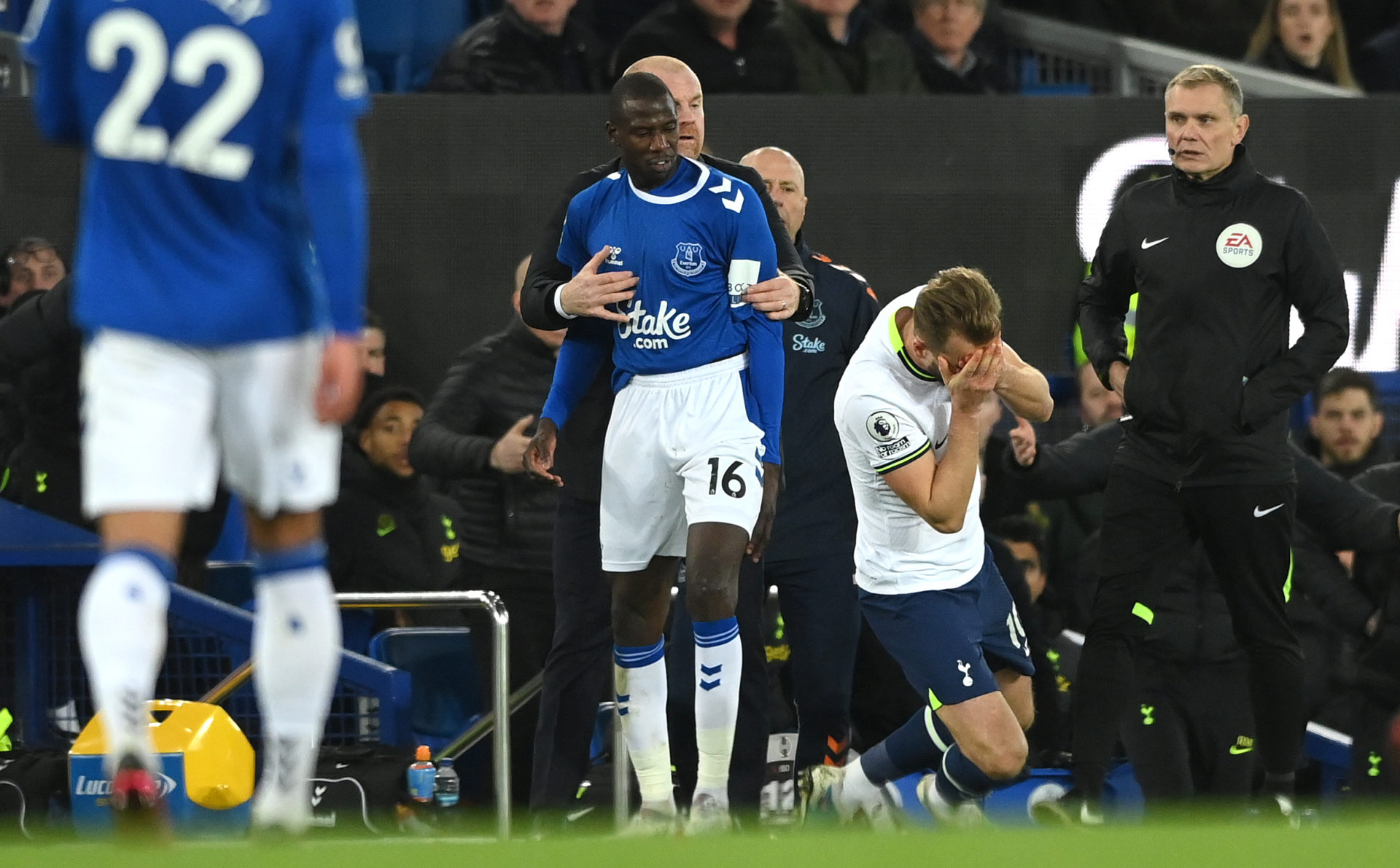 Everton FC v Tottenham Hotspur - Premier League