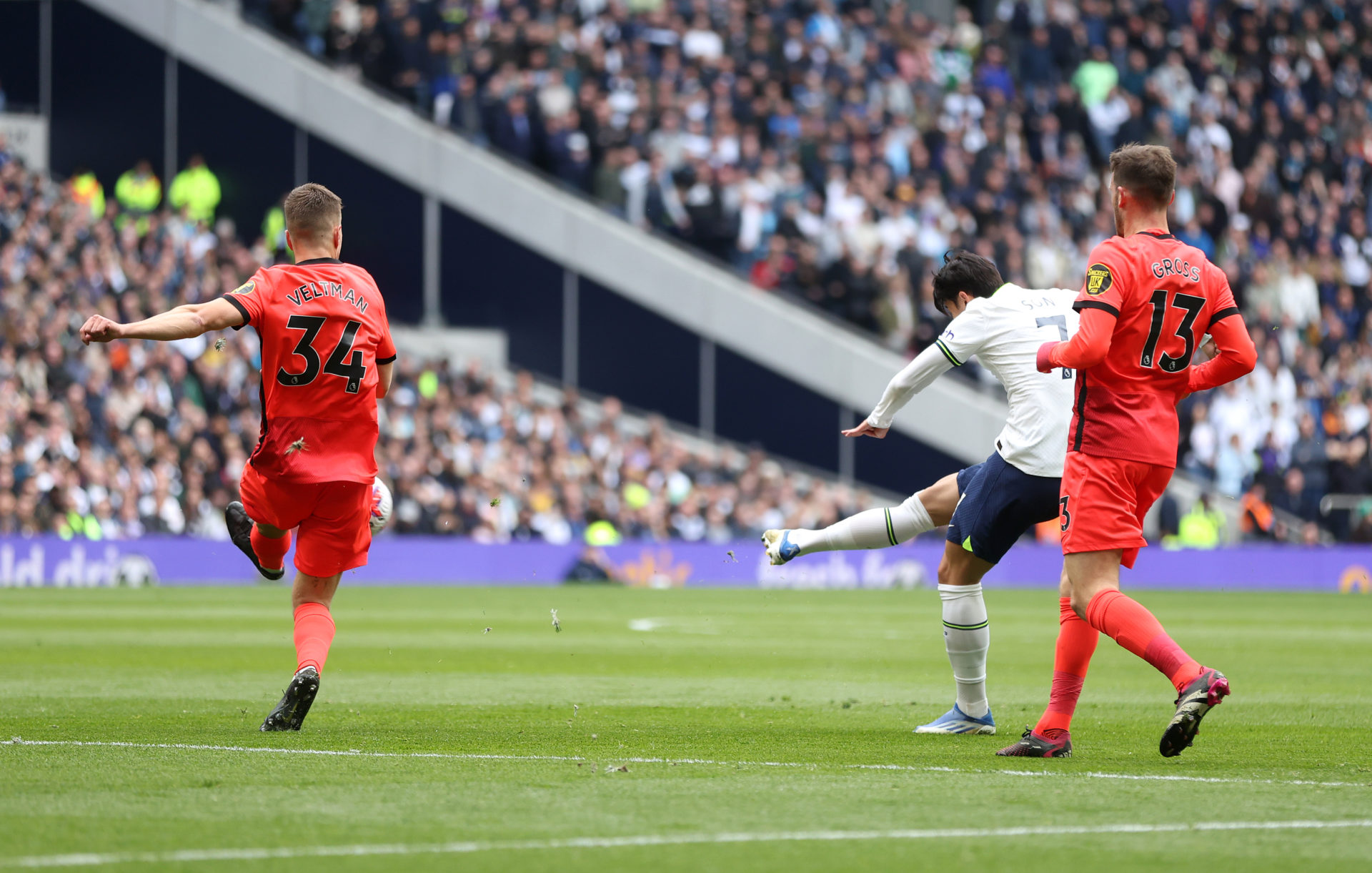 Tottenham Hotspur v Brighton & Hove Albion - Premier League