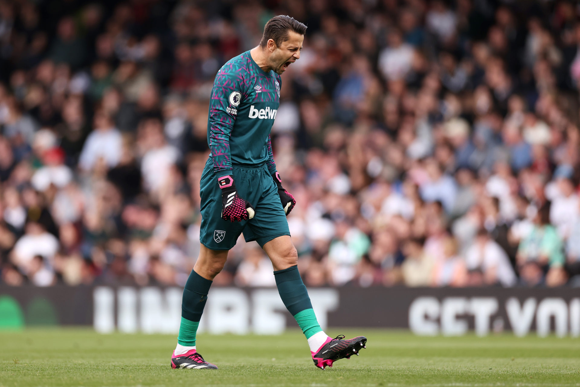 Fulham FC v West Ham United - Premier League