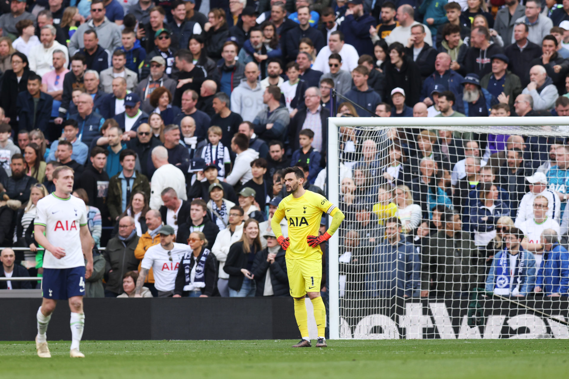 Tottenham Hotspur v Brighton & Hove Albion - Premier League