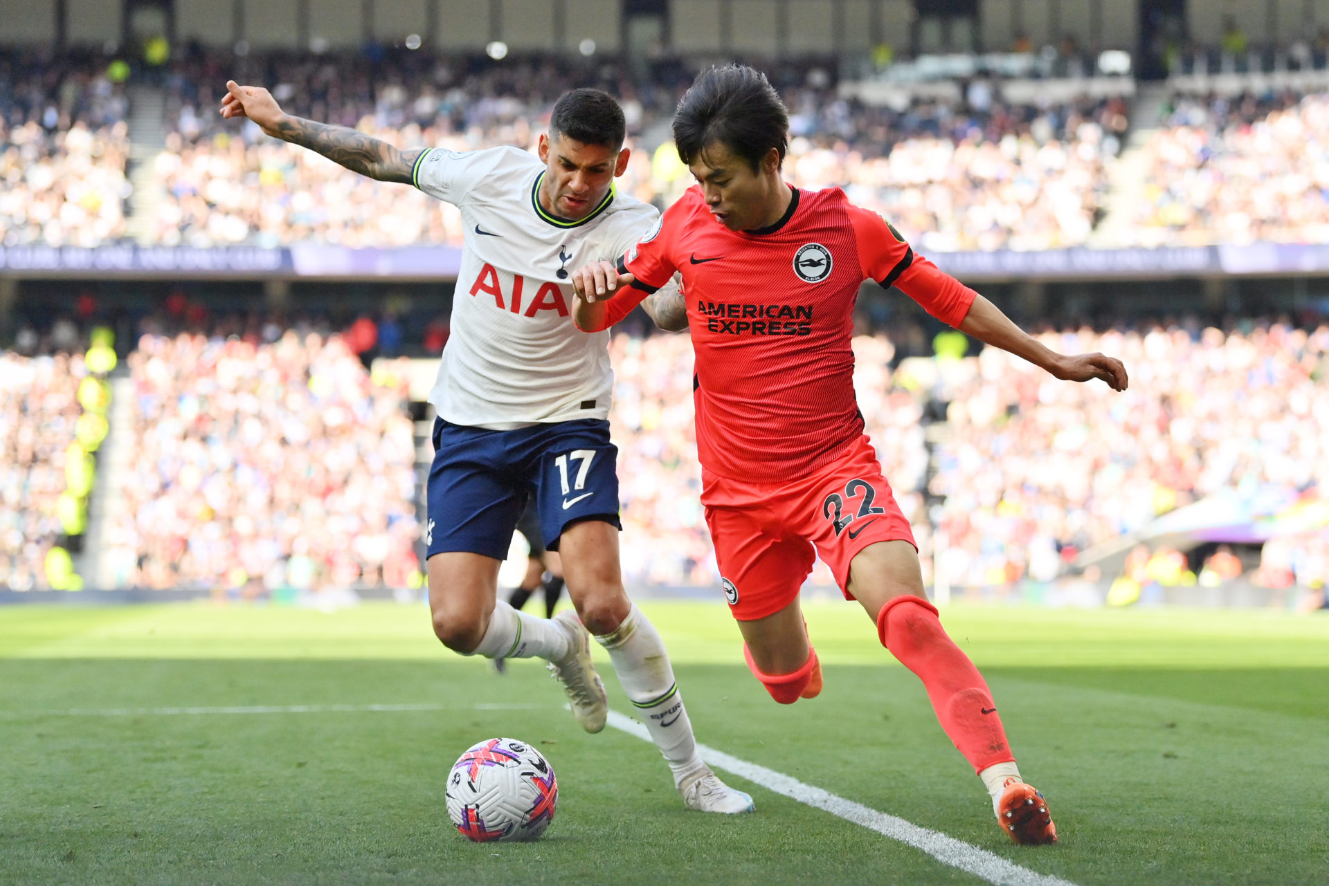 Tottenham Hotspur v Brighton & Hove Albion - Premier League
