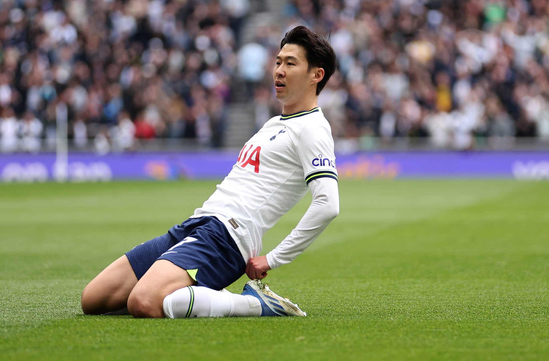 Tottenham Hotspur v Brighton & Hove Albion - Premier League