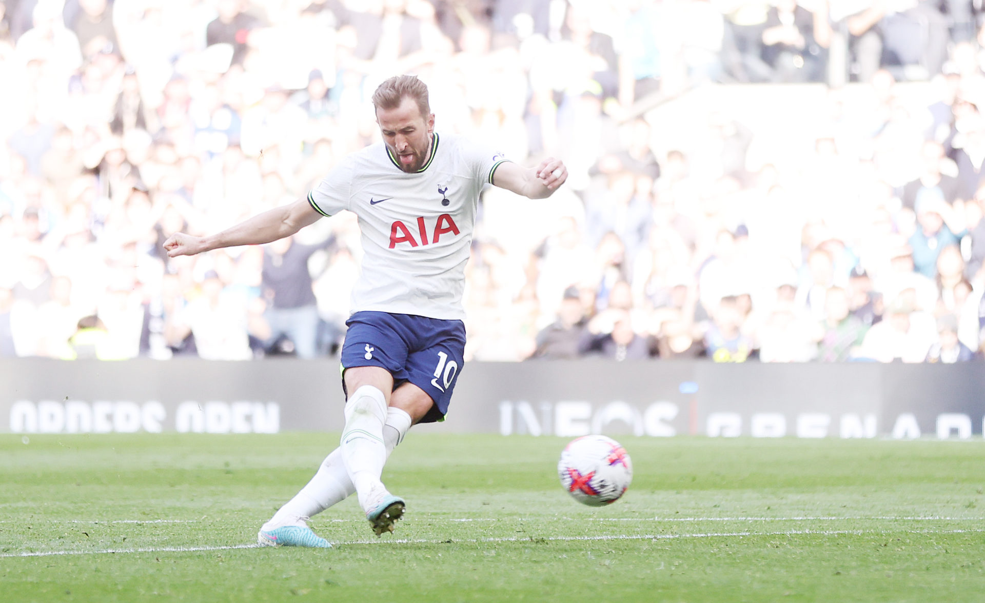 Tottenham Hotspur v Brighton & Hove Albion - Premier League