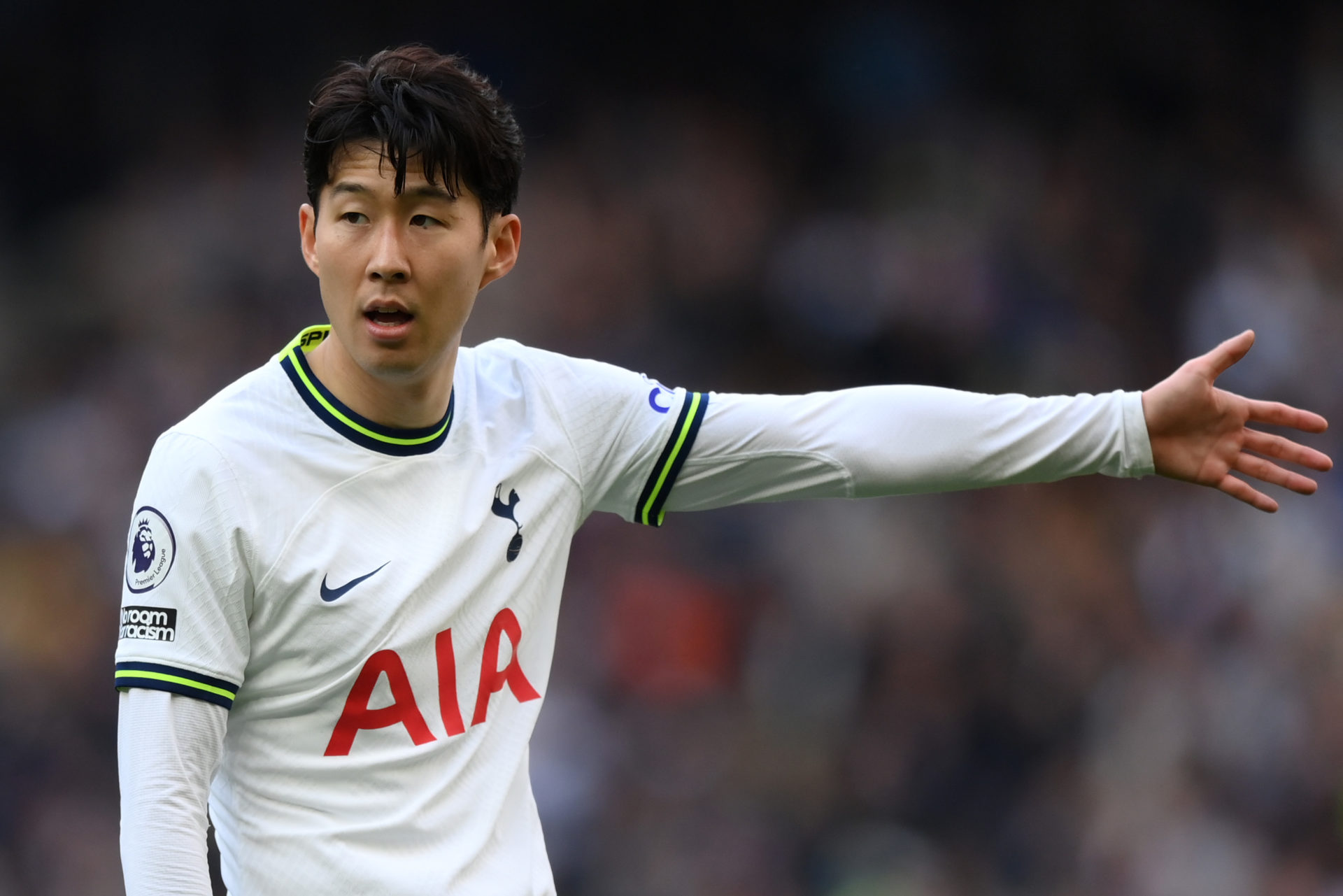 Tottenham Hotspur v Brighton & Hove Albion - Premier League
