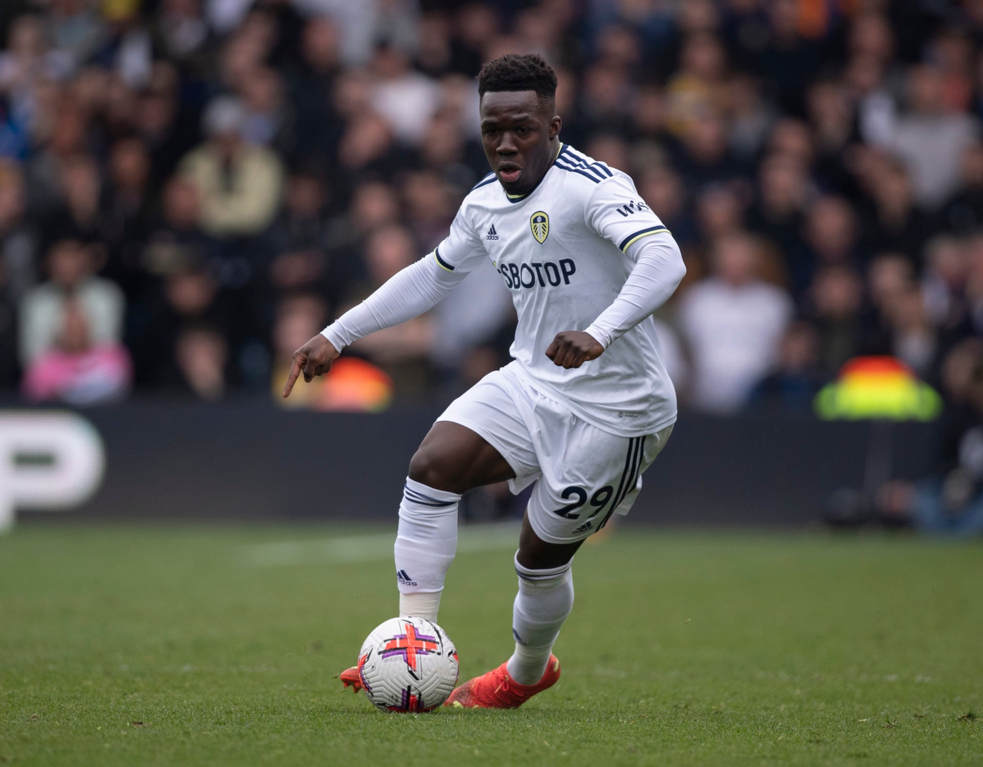 Arsenal Wilfried Gnonto