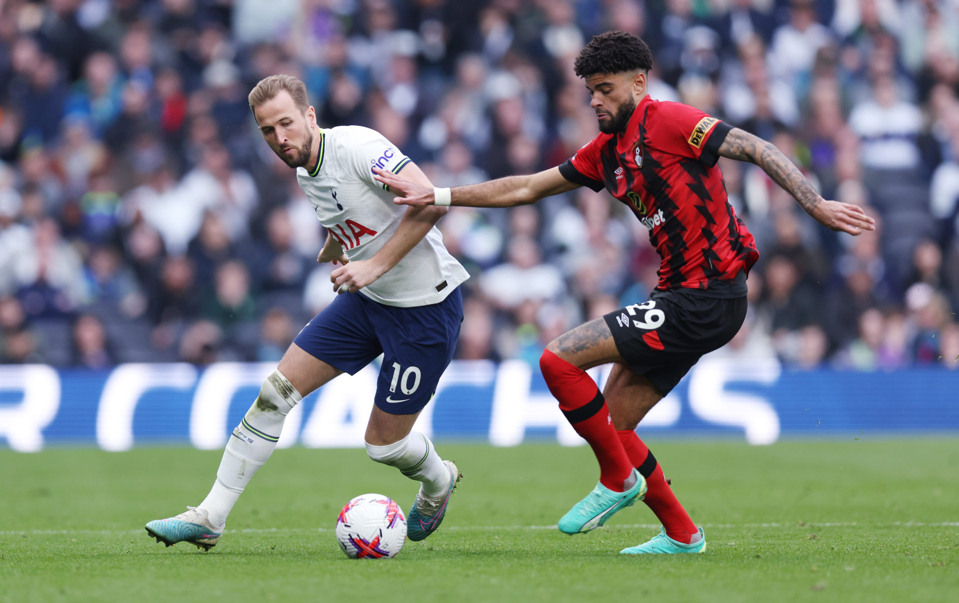 Tottenham Hotspur v AFC Bournemouth - Premier League