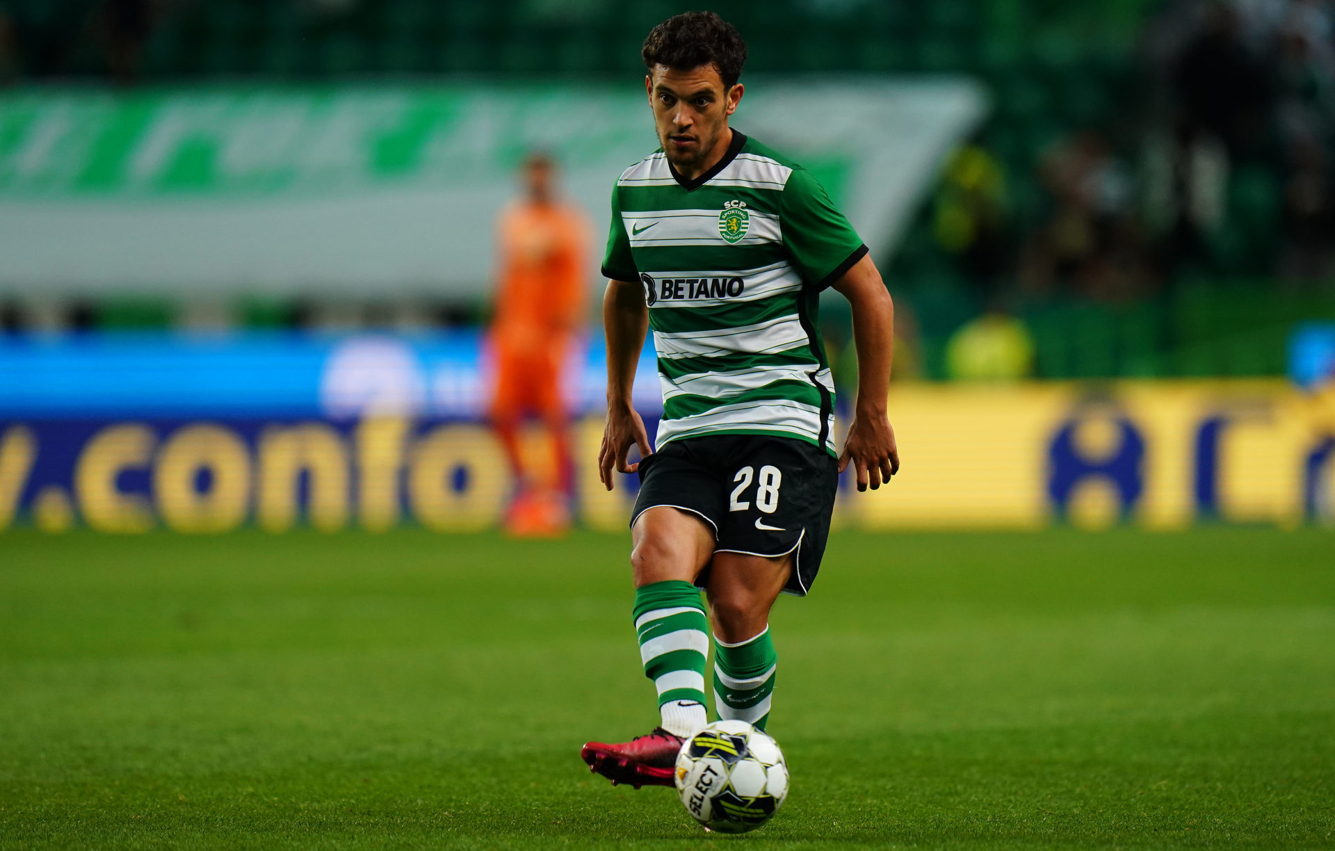 Sporting CP v FC Arouca - Liga Portugal Bwin