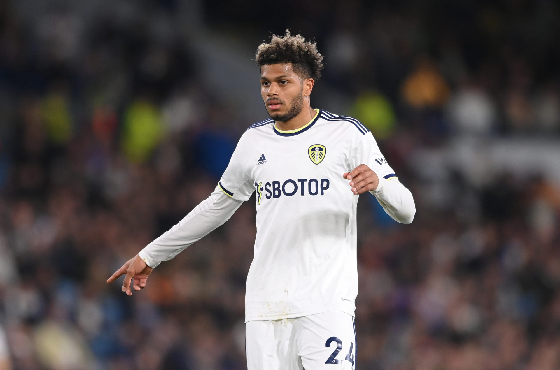 Leeds United v Liverpool FC - Premier League