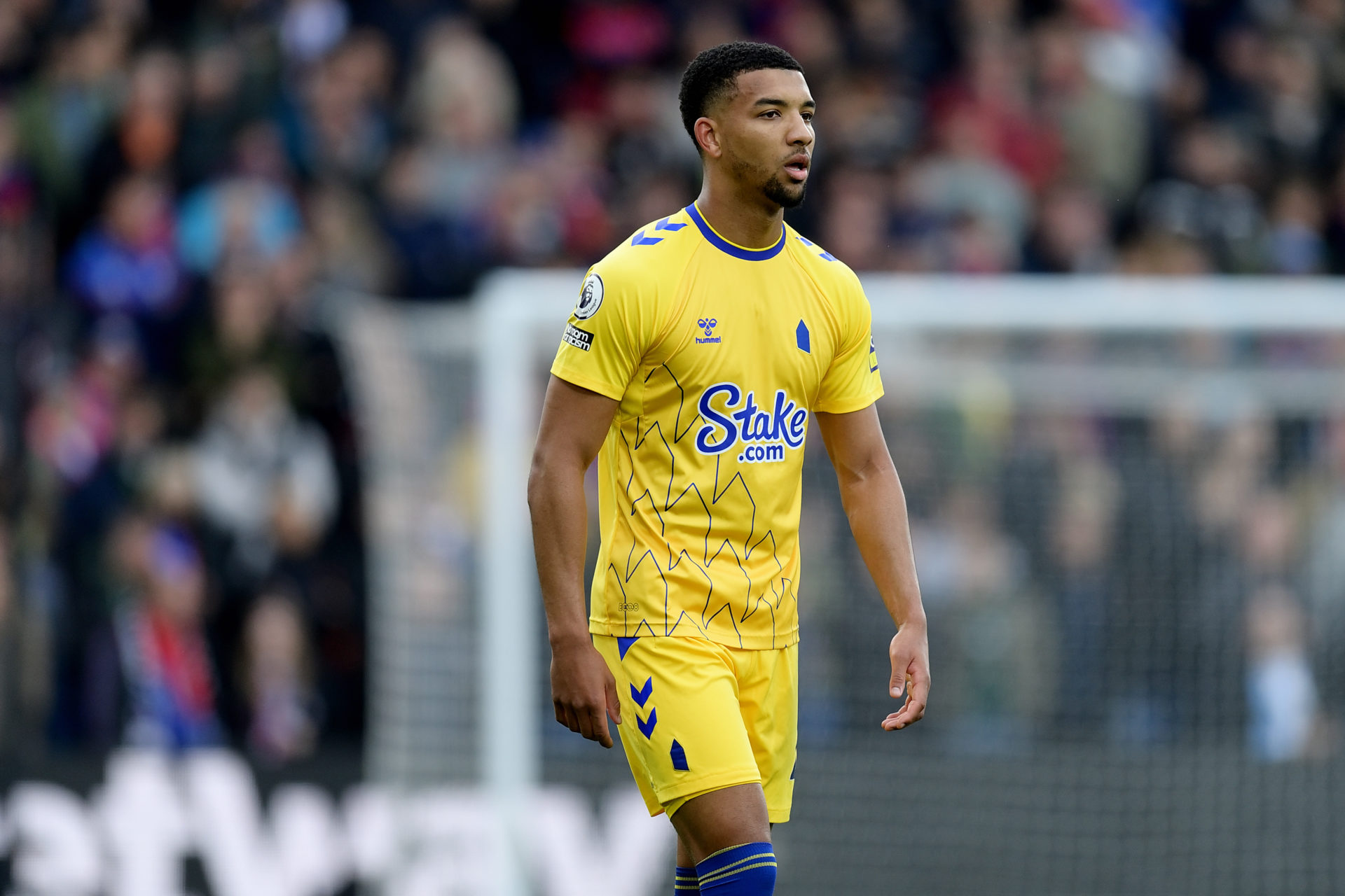 Crystal Palace v Everton FC - Premier League