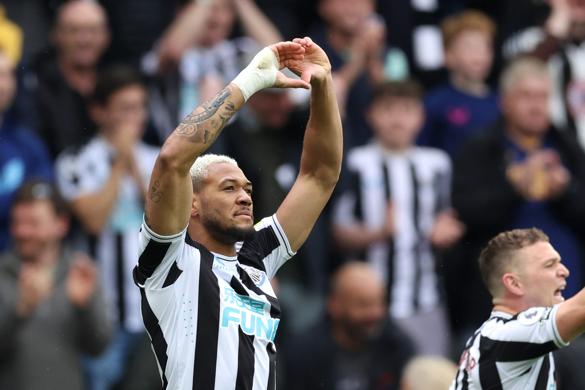 Newcastle United v Tottenham Hotspur - Premier League