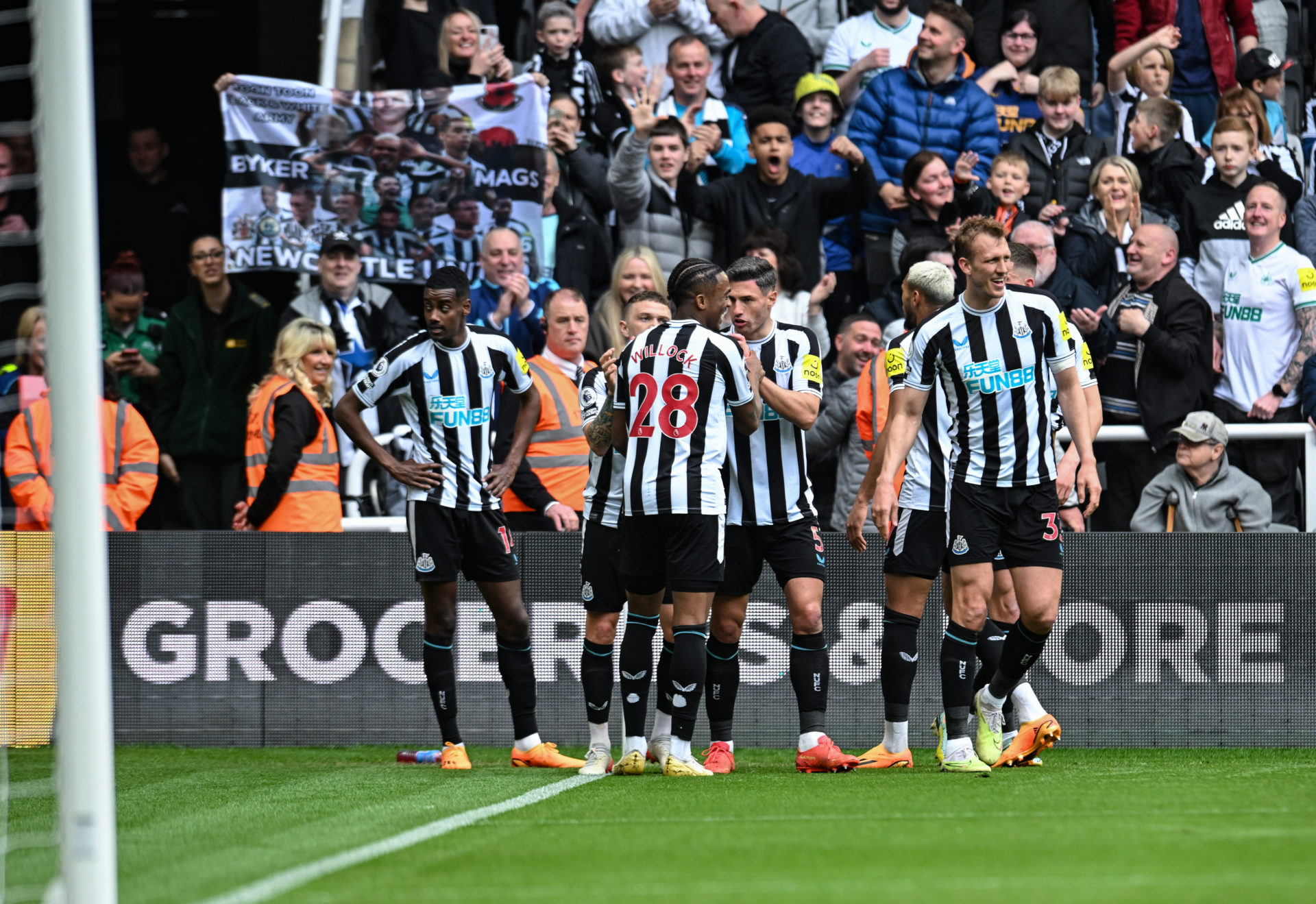 Newcastle United v Tottenham Hotspur - Premier League