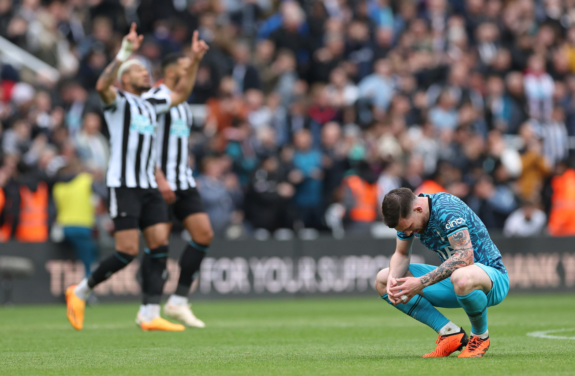 Newcastle United v Tottenham Hotspur - Premier League
