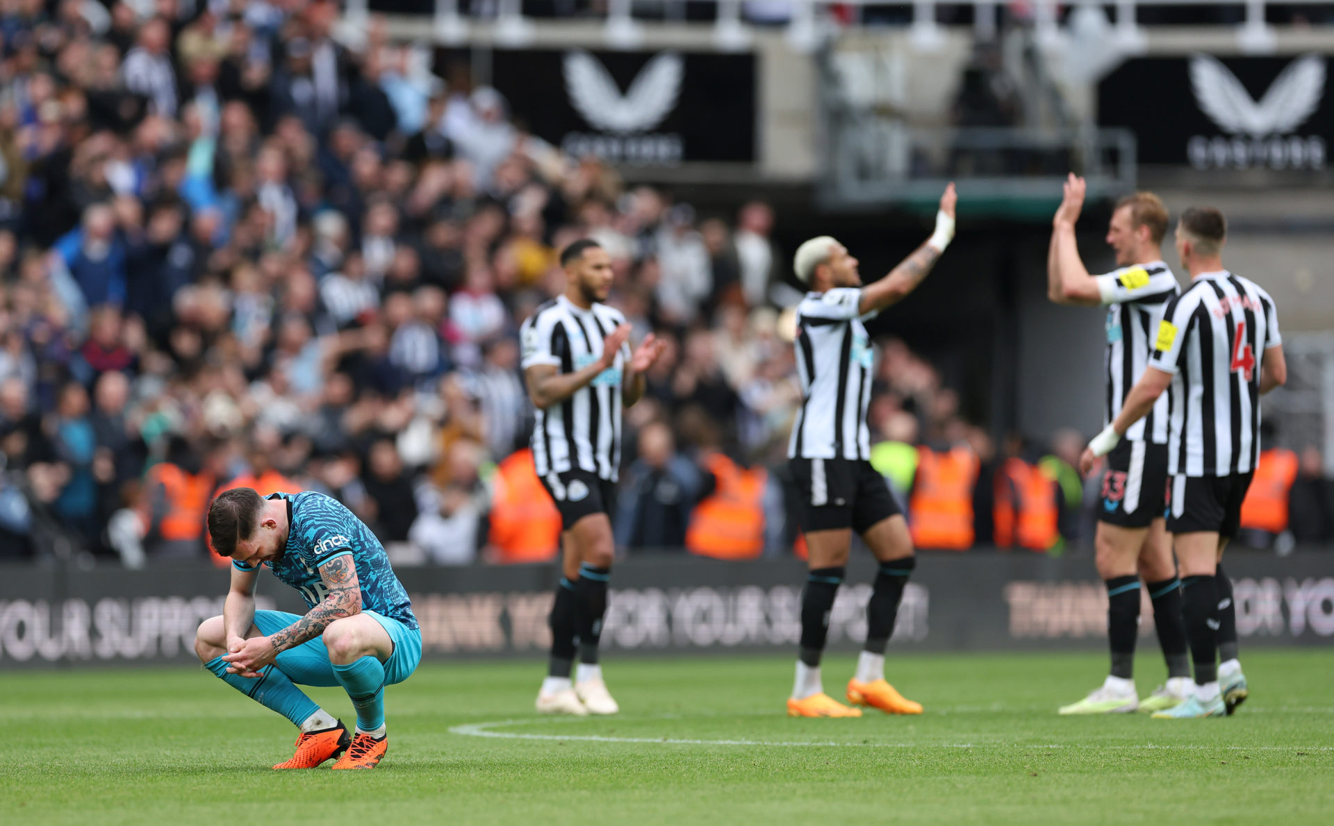 Newcastle United v Tottenham Hotspur - Premier League