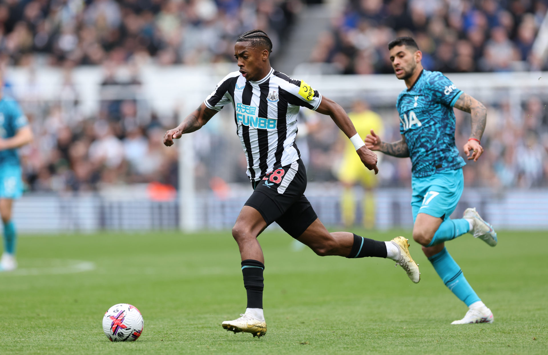 Newcastle United v Tottenham Hotspur - Premier League