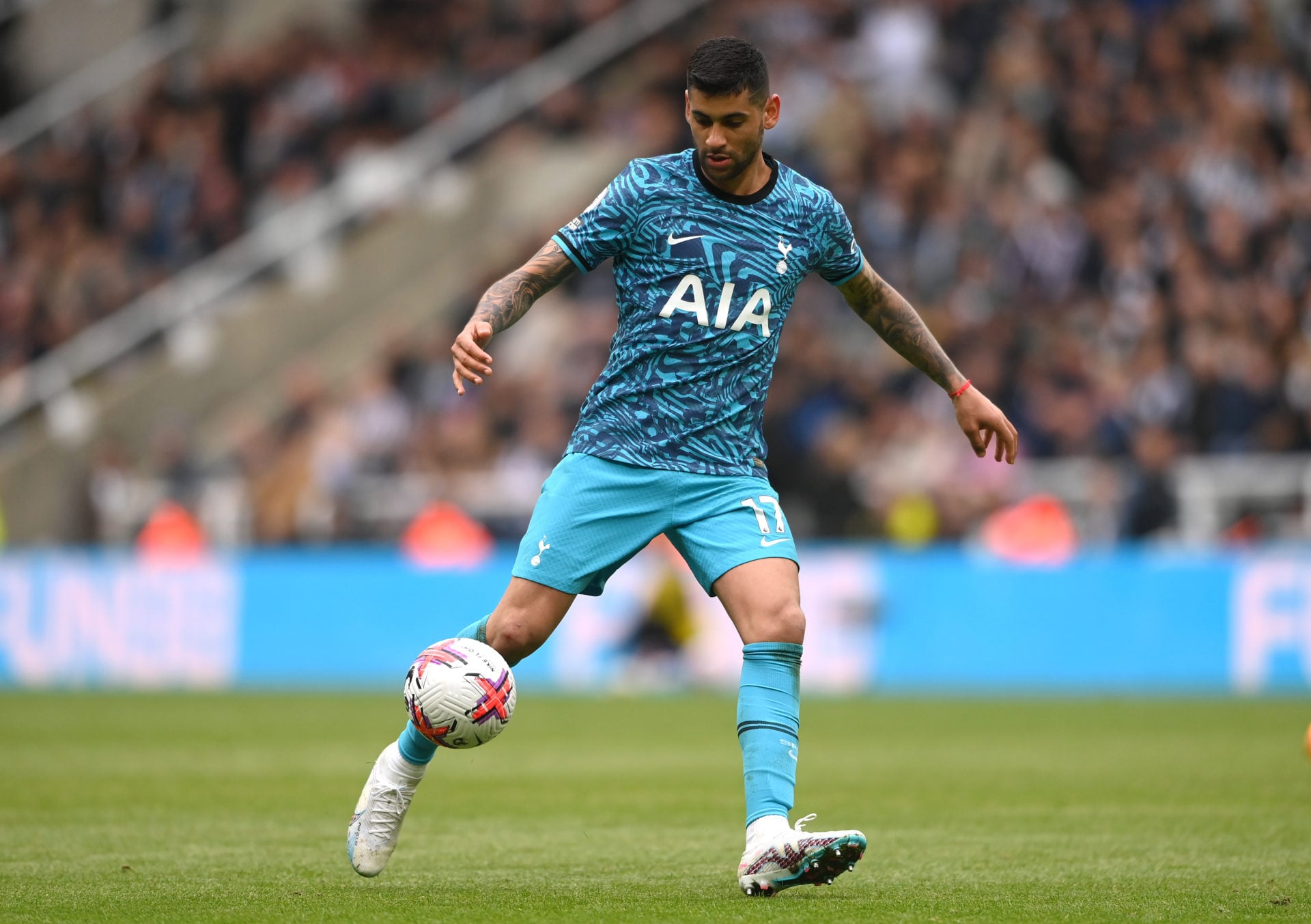 Newcastle United v Tottenham Hotspur - Premier League