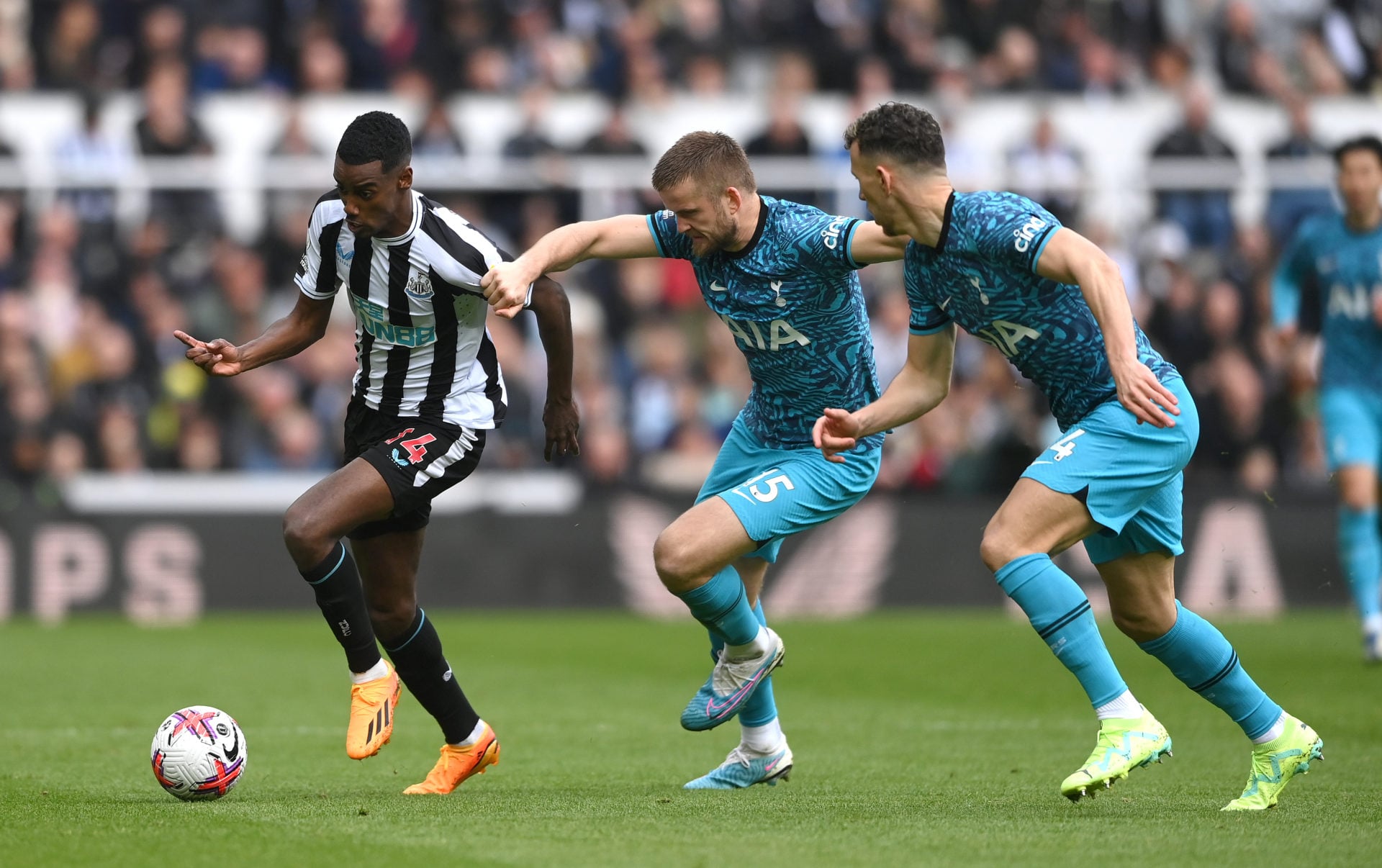 Newcastle United v Tottenham Hotspur - Premier League