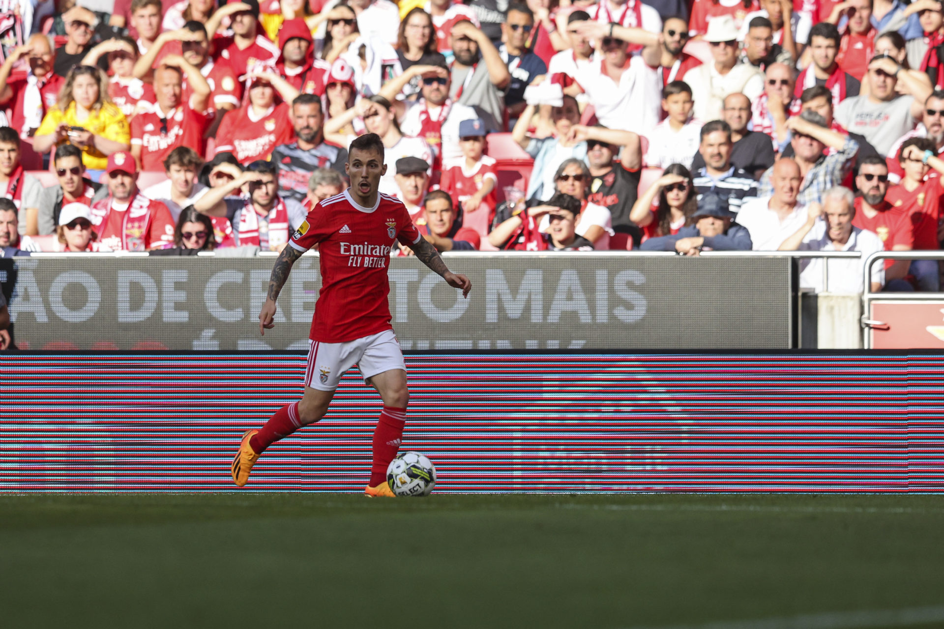 SL Benfica v GD Estoril - Liga Portugal Bwin
