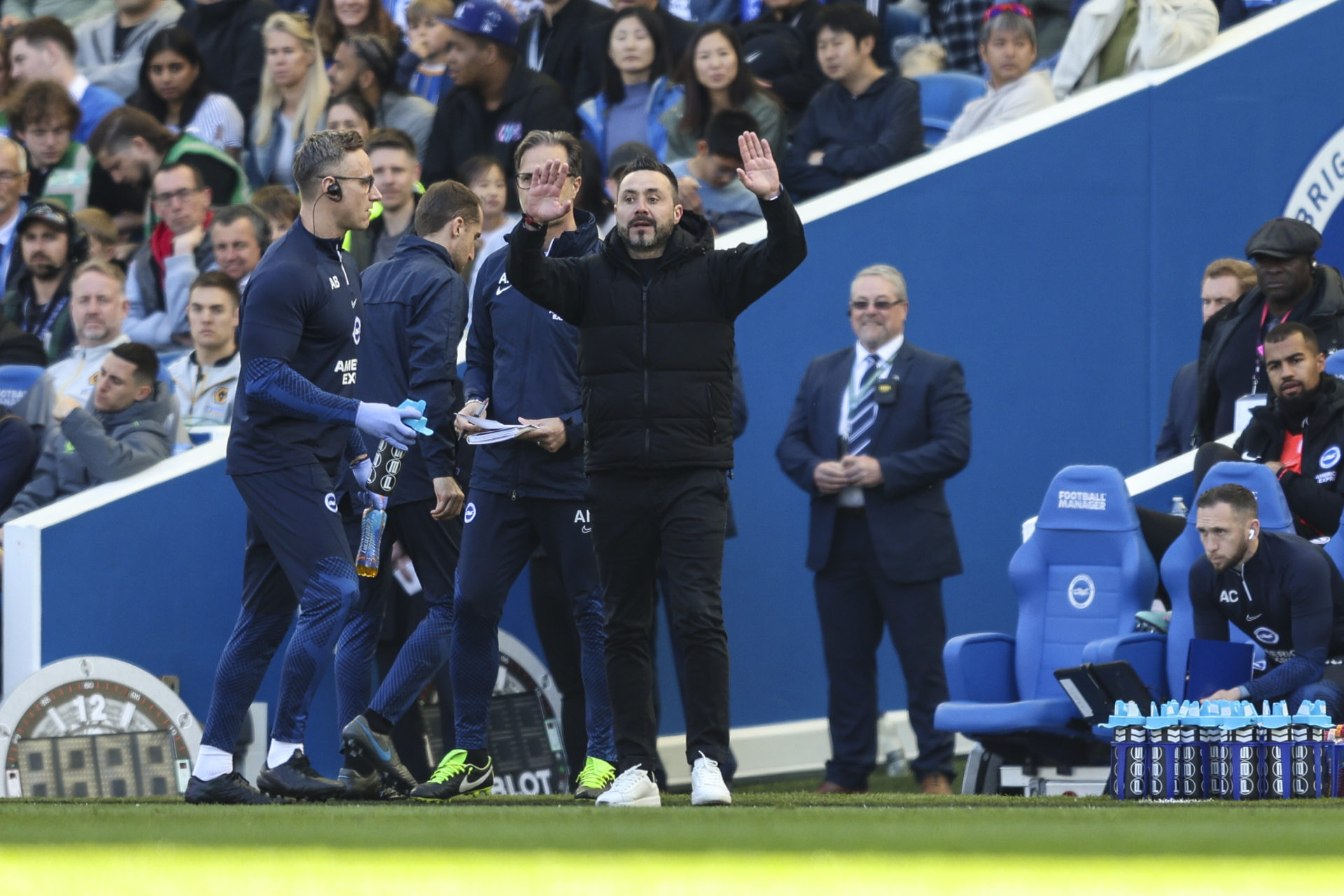 Brighton & Hove Albion v Wolverhampton Wanderers - Premier League