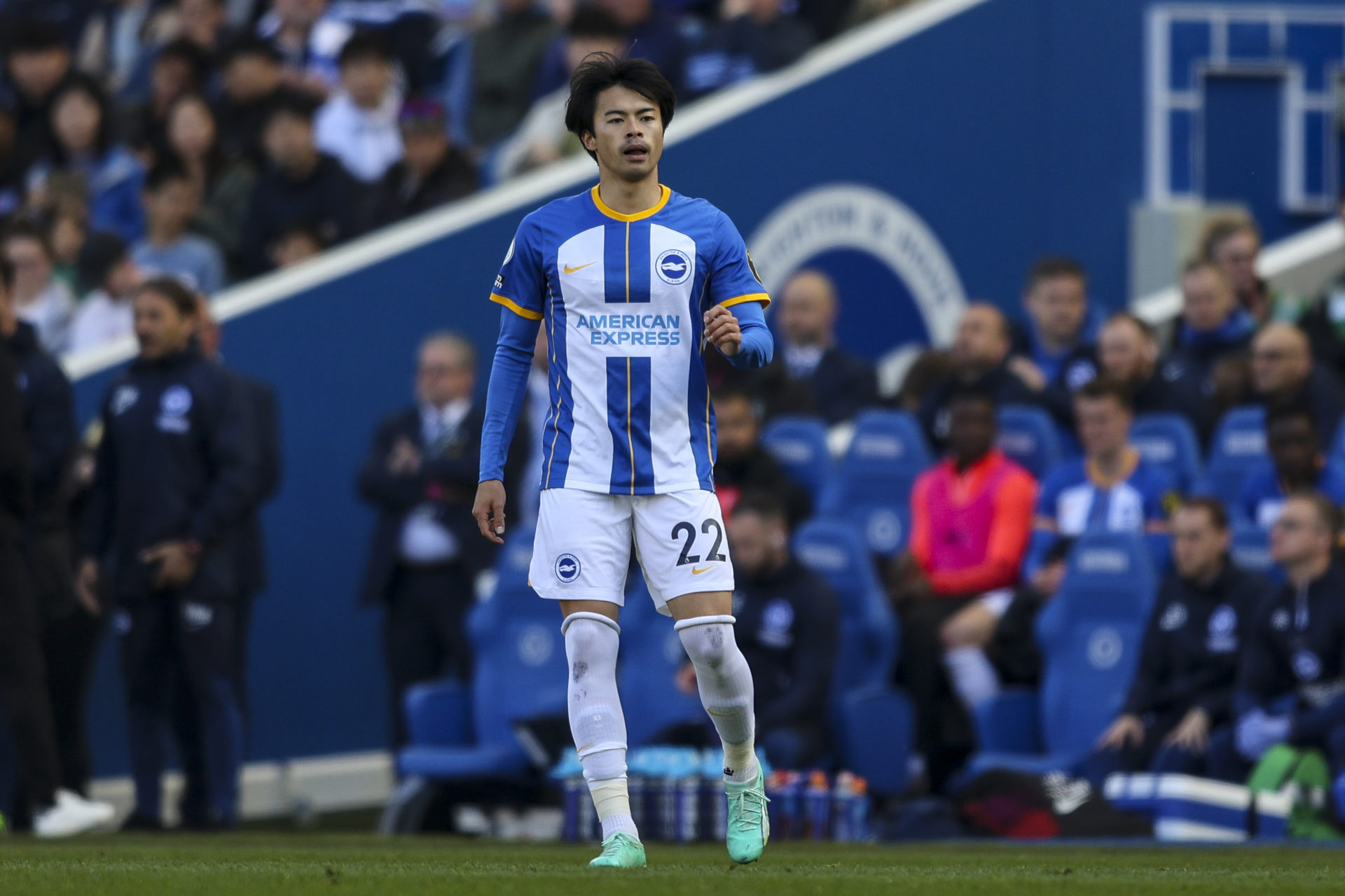 Brighton & Hove Albion v Wolverhampton Wanderers - Premier League