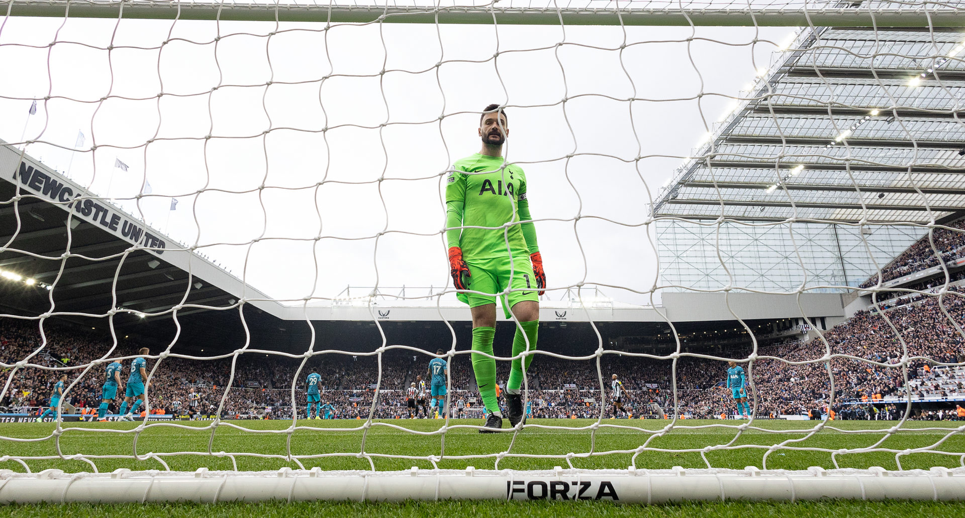 Newcastle United v Tottenham Hotspur - Premier League