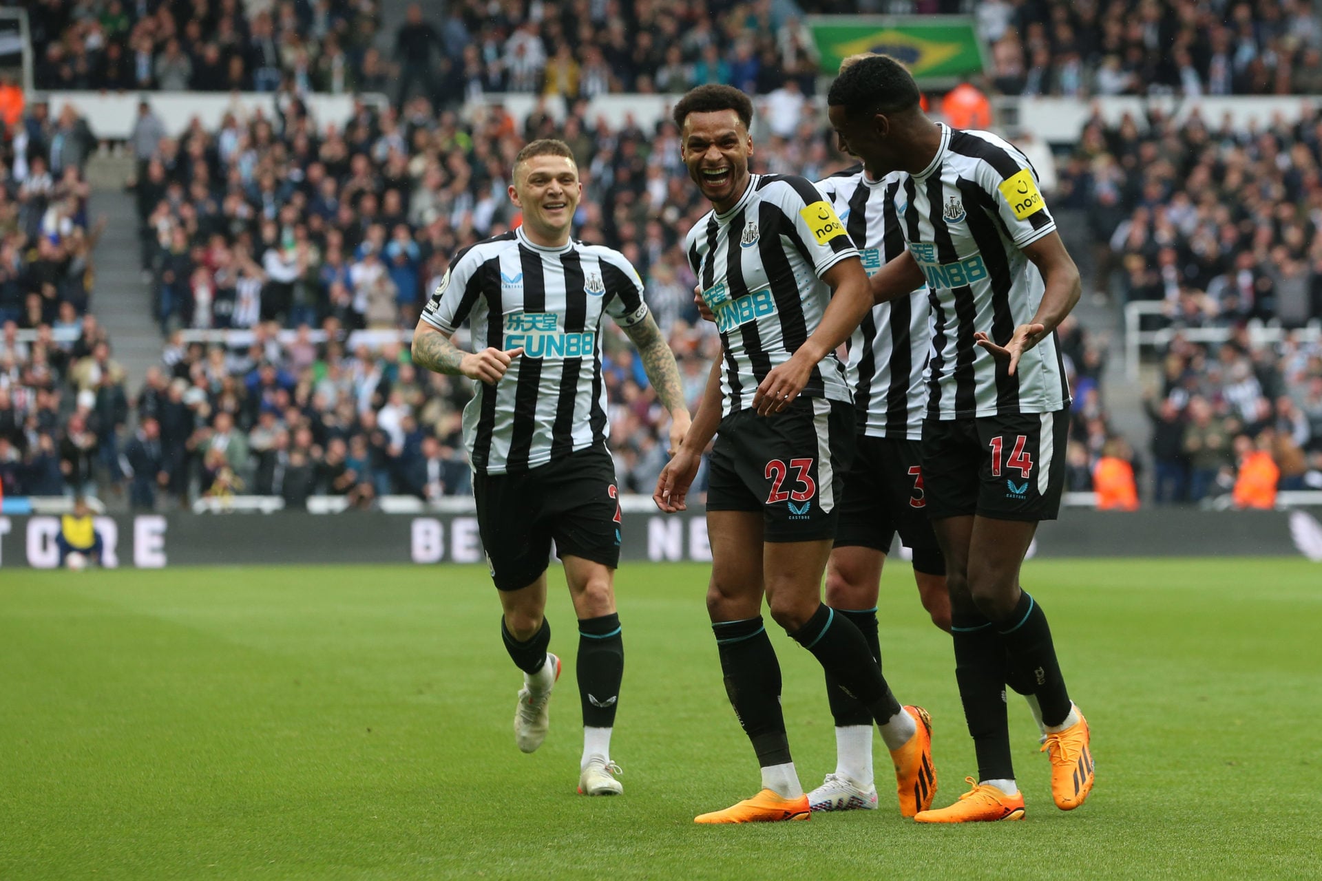 Newcastle United v Tottenham Hotspur - Premier League