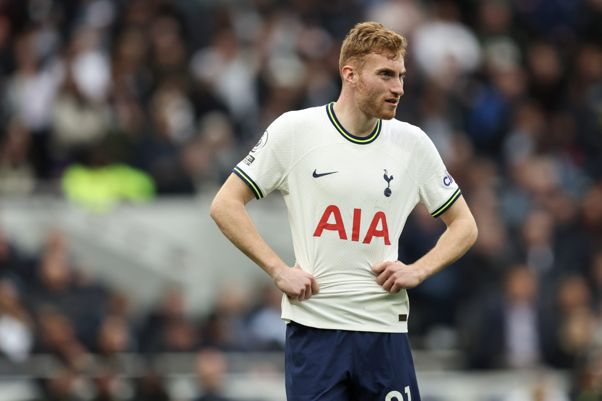 Tottenham Hotspur v Crystal Palace - Premier League