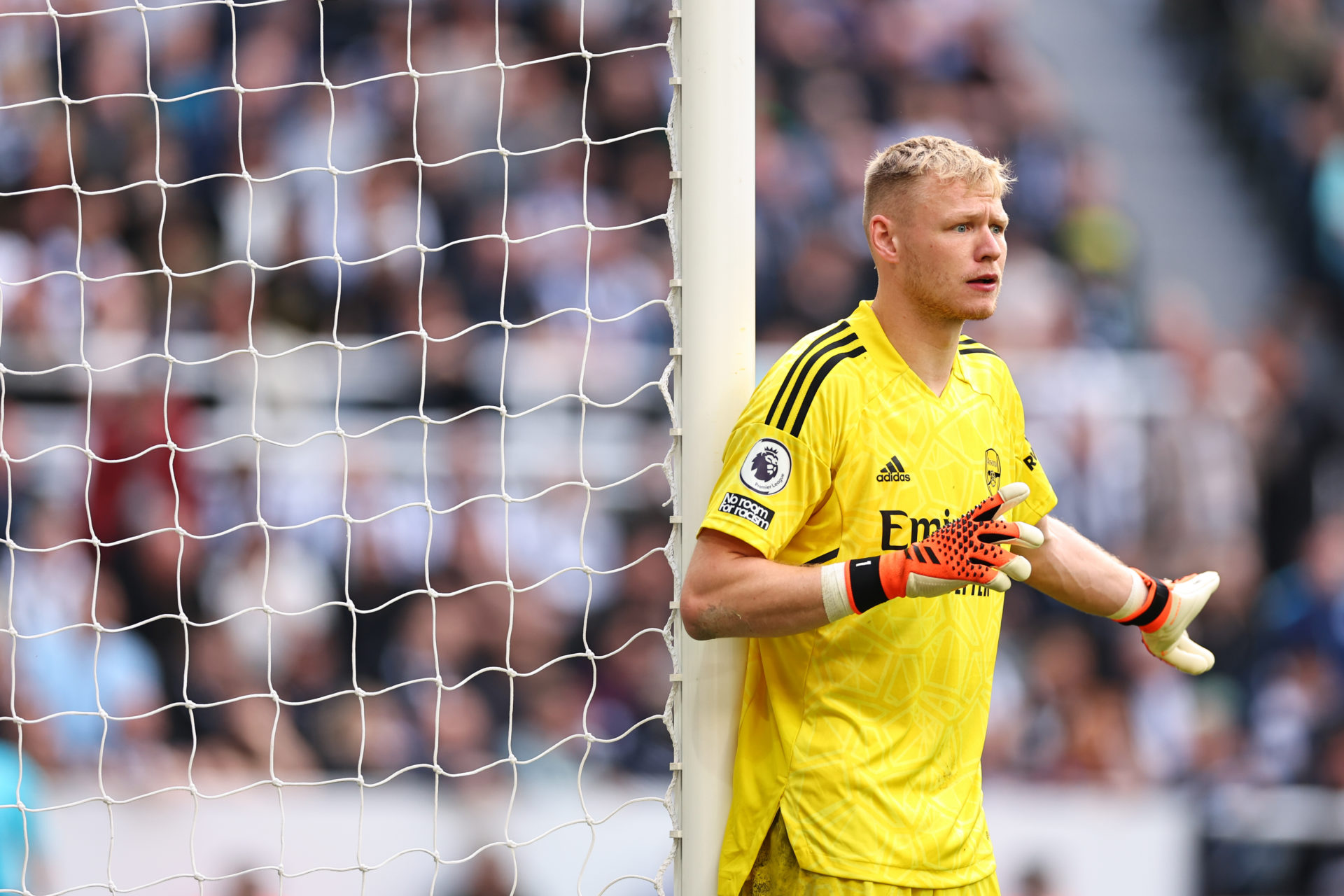 Newcastle United v Arsenal FC - Premier League