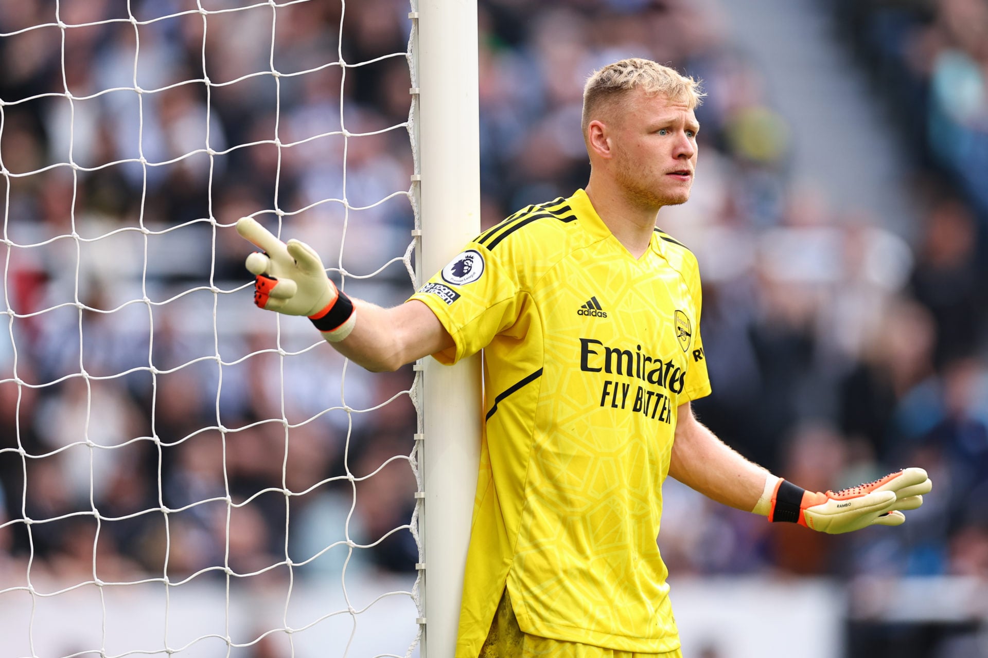 Aaron Ramsdale Arsenal