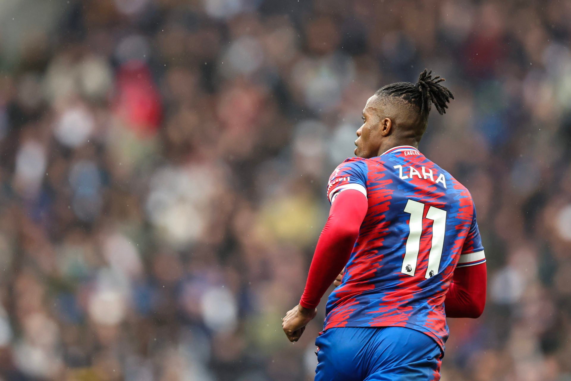 Tottenham Hotspur v Crystal Palace - Premier League